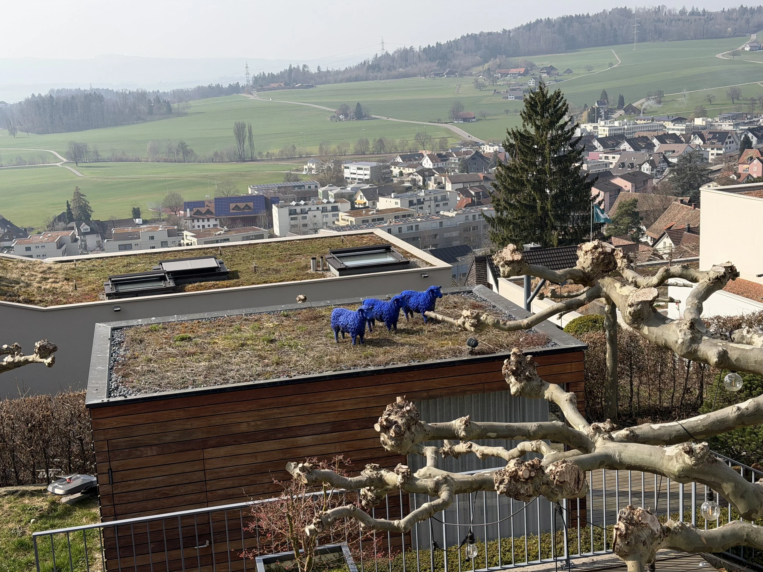 Houses in the Zurich Canton, Switzerland, with a sedum-covered green roof, which helps regulate temperature, retain rainwater, and so contribute to regional climate resilience.