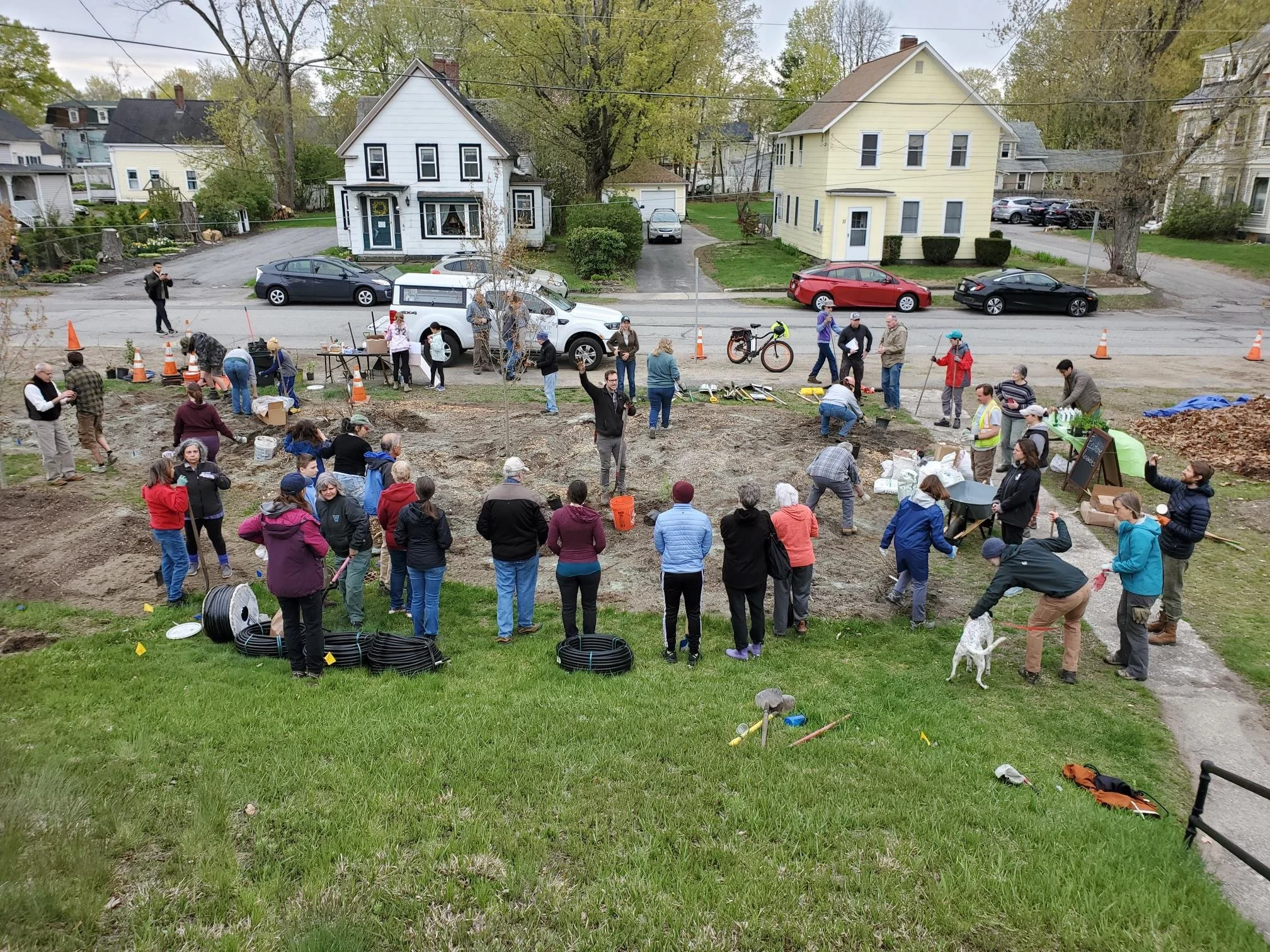 Community Driven Biodiversity: The Ayer Devens Main Streets Regional ...