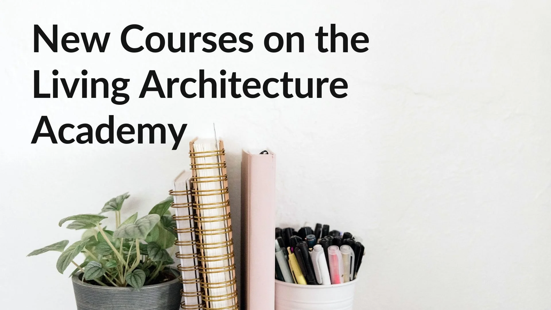Advancing Green Roofs: Latest Training, Policy Guide, and Events Update