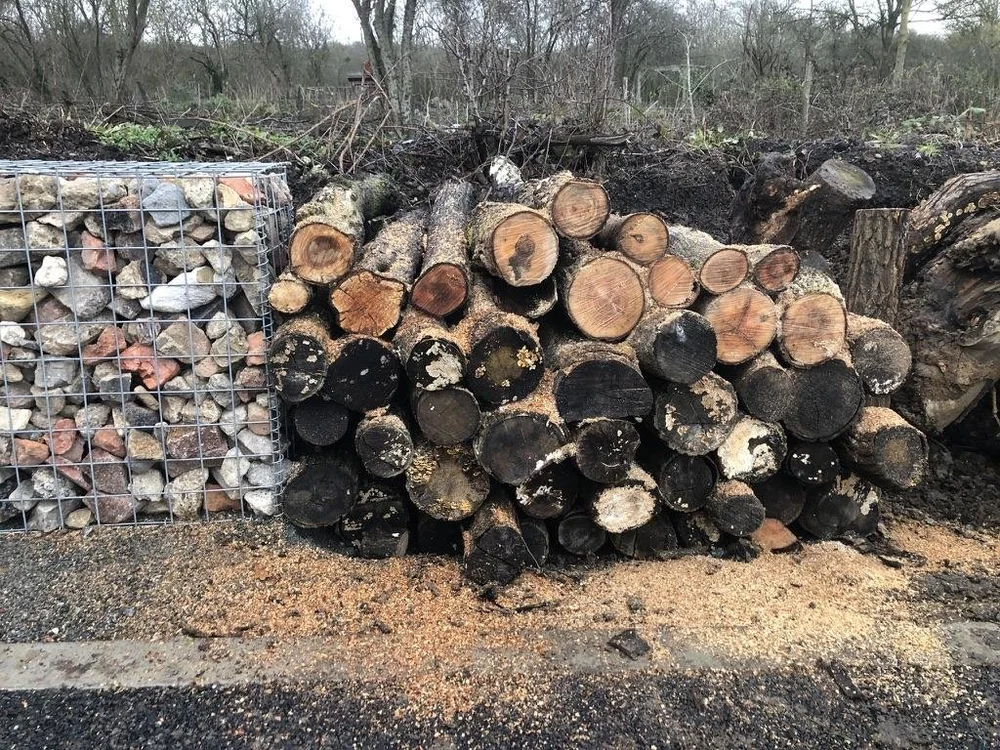 Chaos and Complexity Pushing the Boundaries of Gabion Baskets