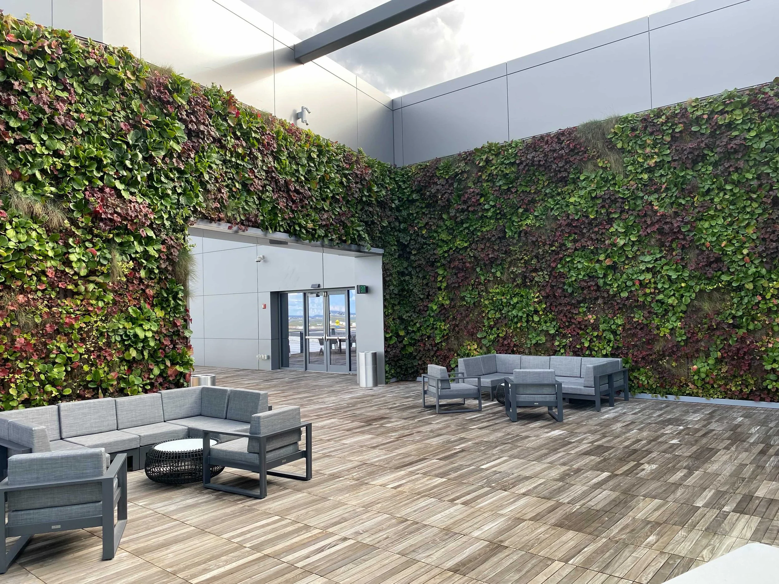 How to Keep Exterior Green Walls Alive in the Winter