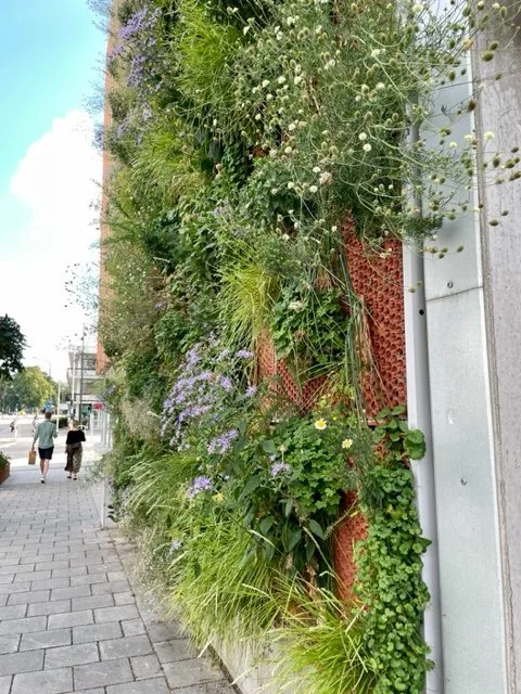 Picture of The Scandinavian Green Roof Institute
