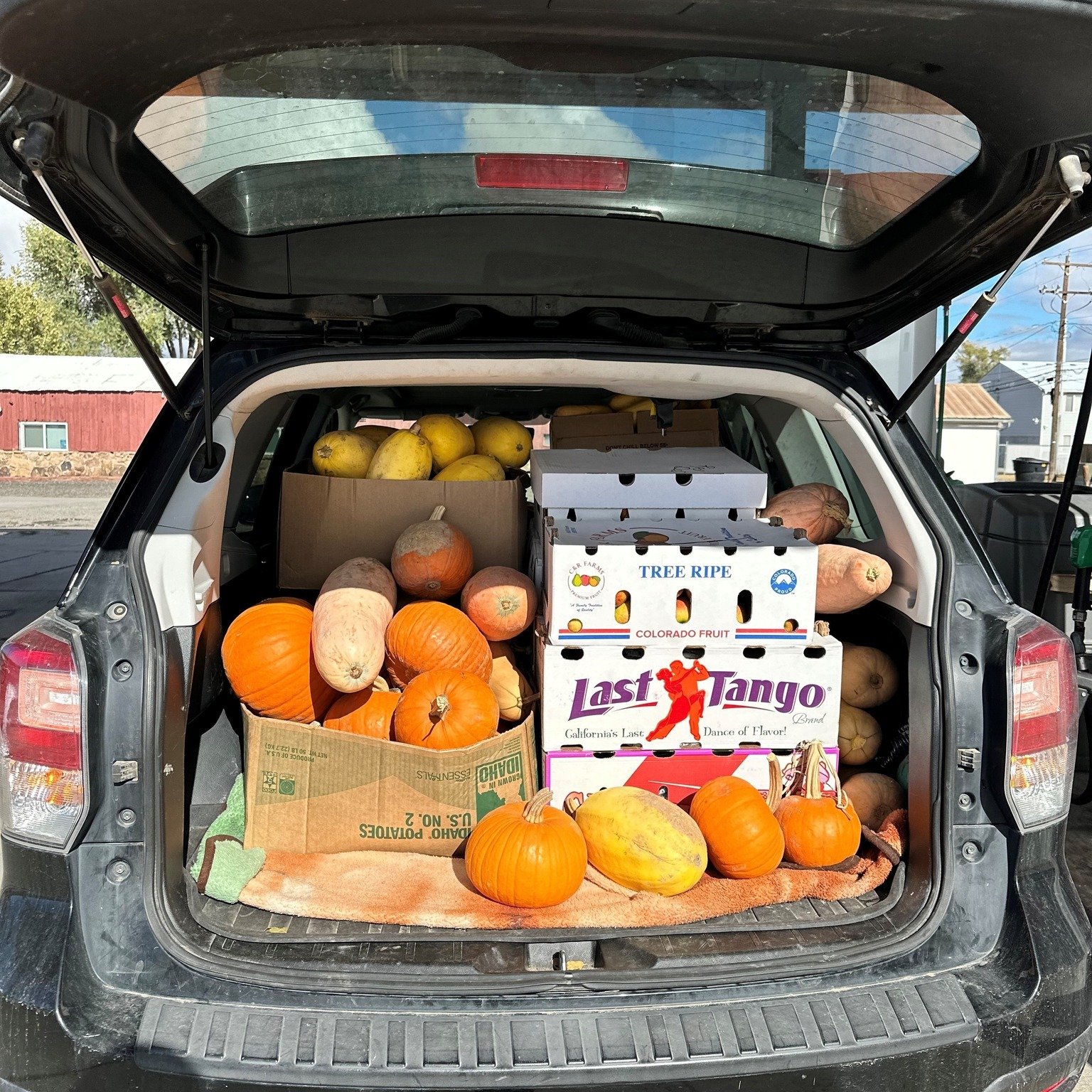 Huge shout out to DeVries Fruit &amp; Veggies for their VERY generous donation of TONS of produce to our Local Farmacy Rx program.  DeVries has been a long-time partner of VFP and LFRx - our participants were beside themselves with excitment and the 