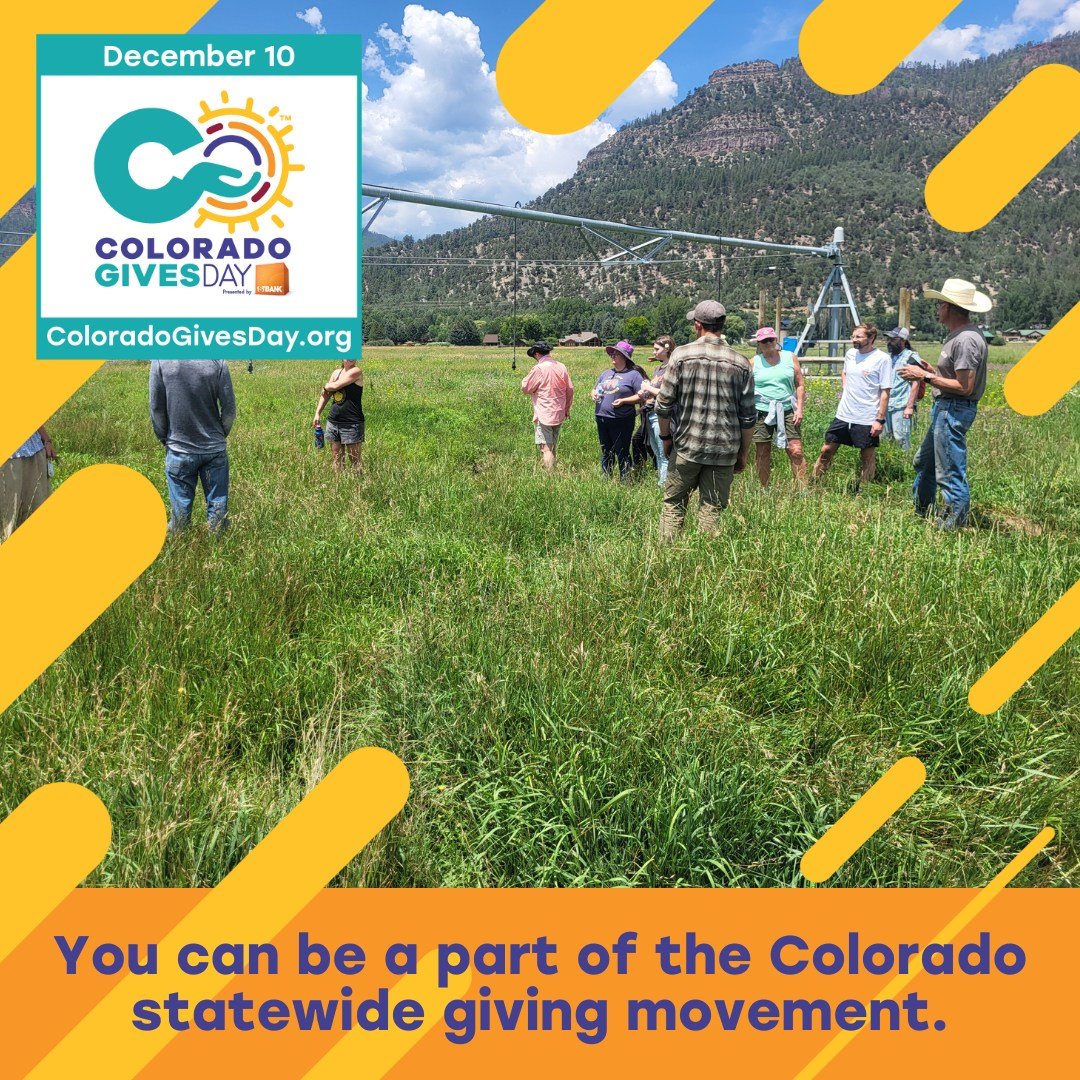 Colorado Gives Day is Tuesday, December 10 but you can give early starting today! Valley Food Partnership envisions a thriving regional food system that sustains the land, producers, and healthy communities, and your support can help make a differenc