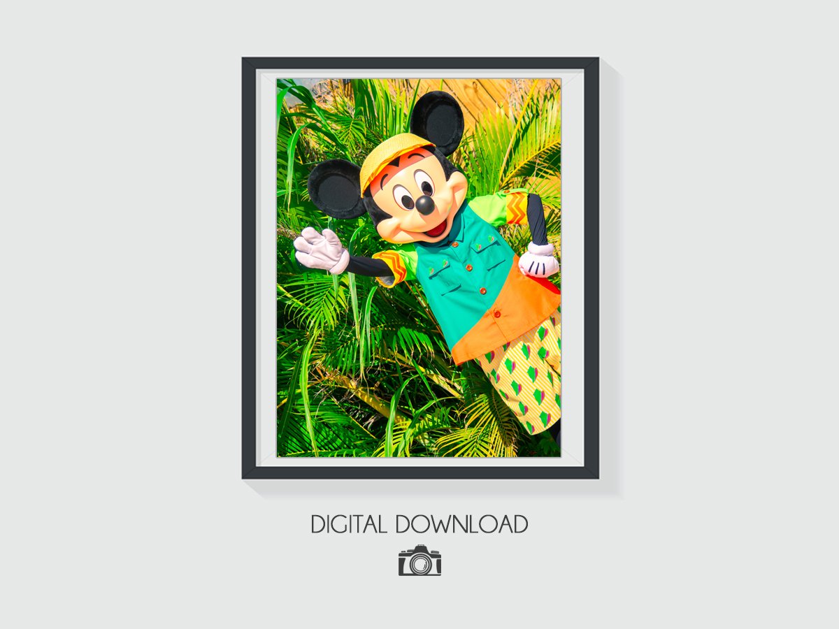 DCL - 003a.jpg