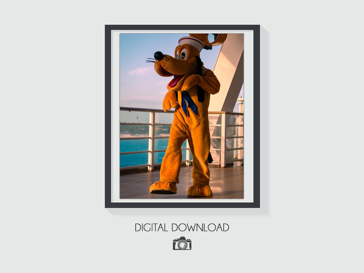 DCL - 014a.jpg