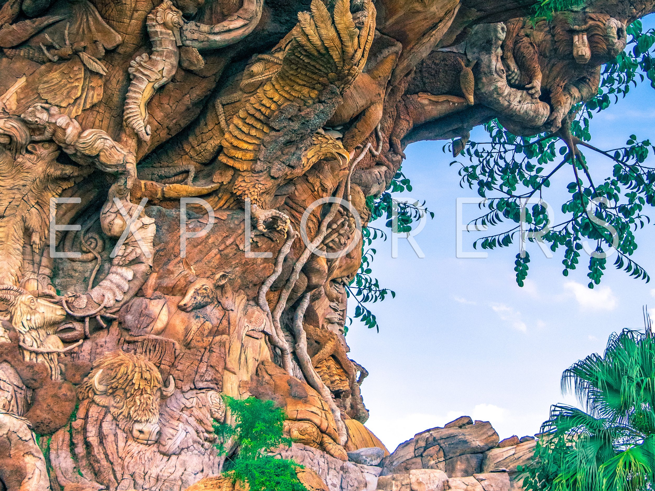 WDW - 006b.jpg