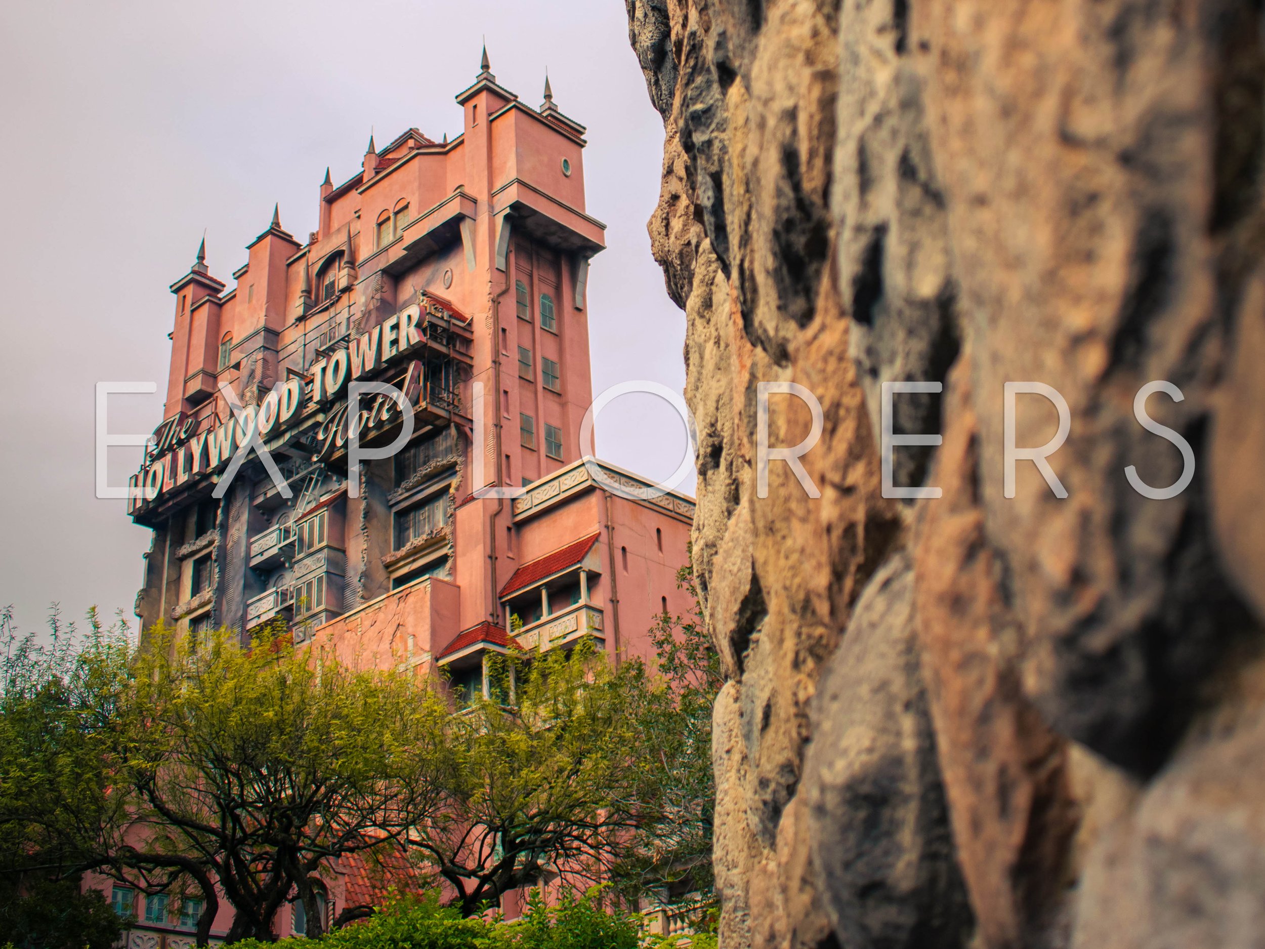WDW - 012b.jpg