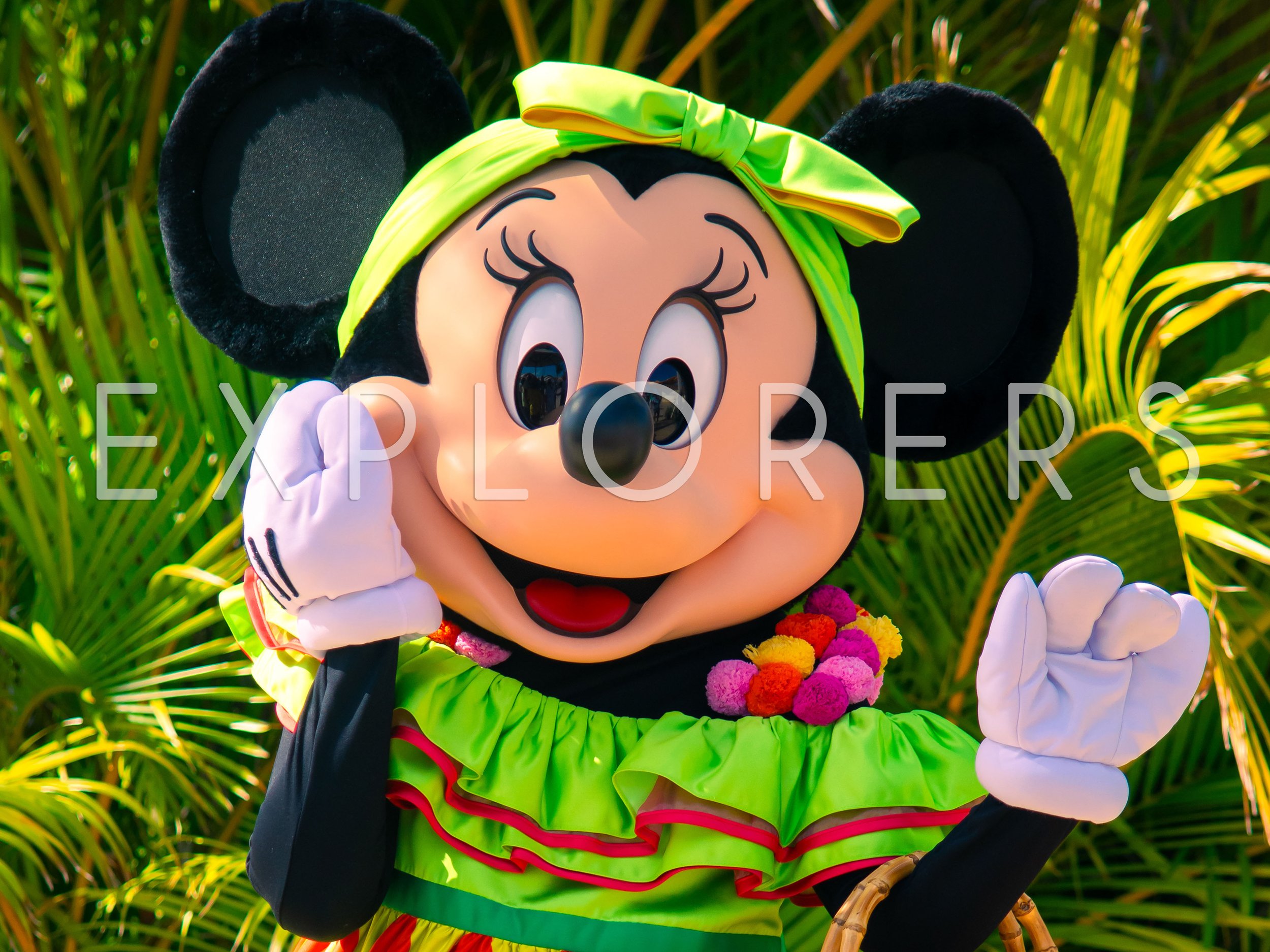 DCL - 002b.jpg
