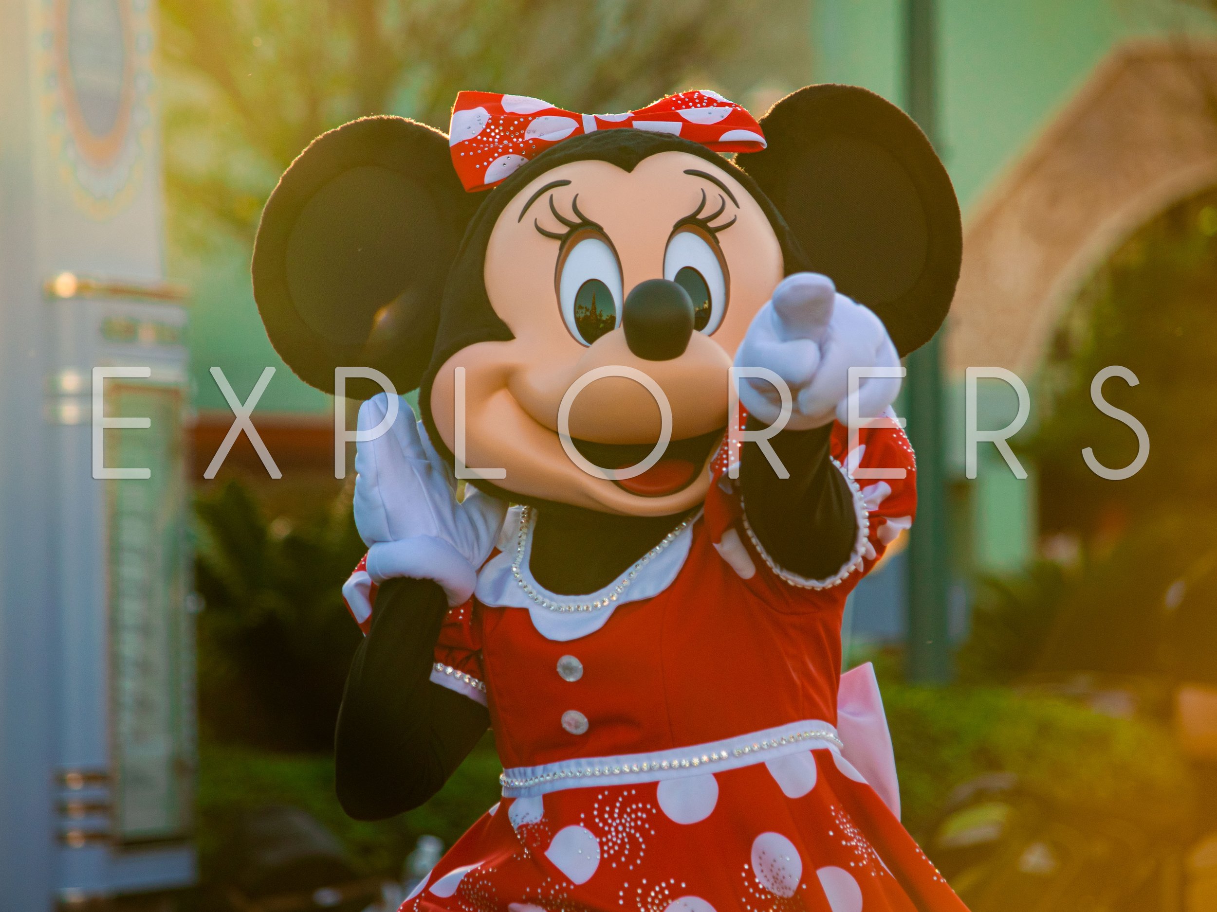 WDW - 014b.jpg