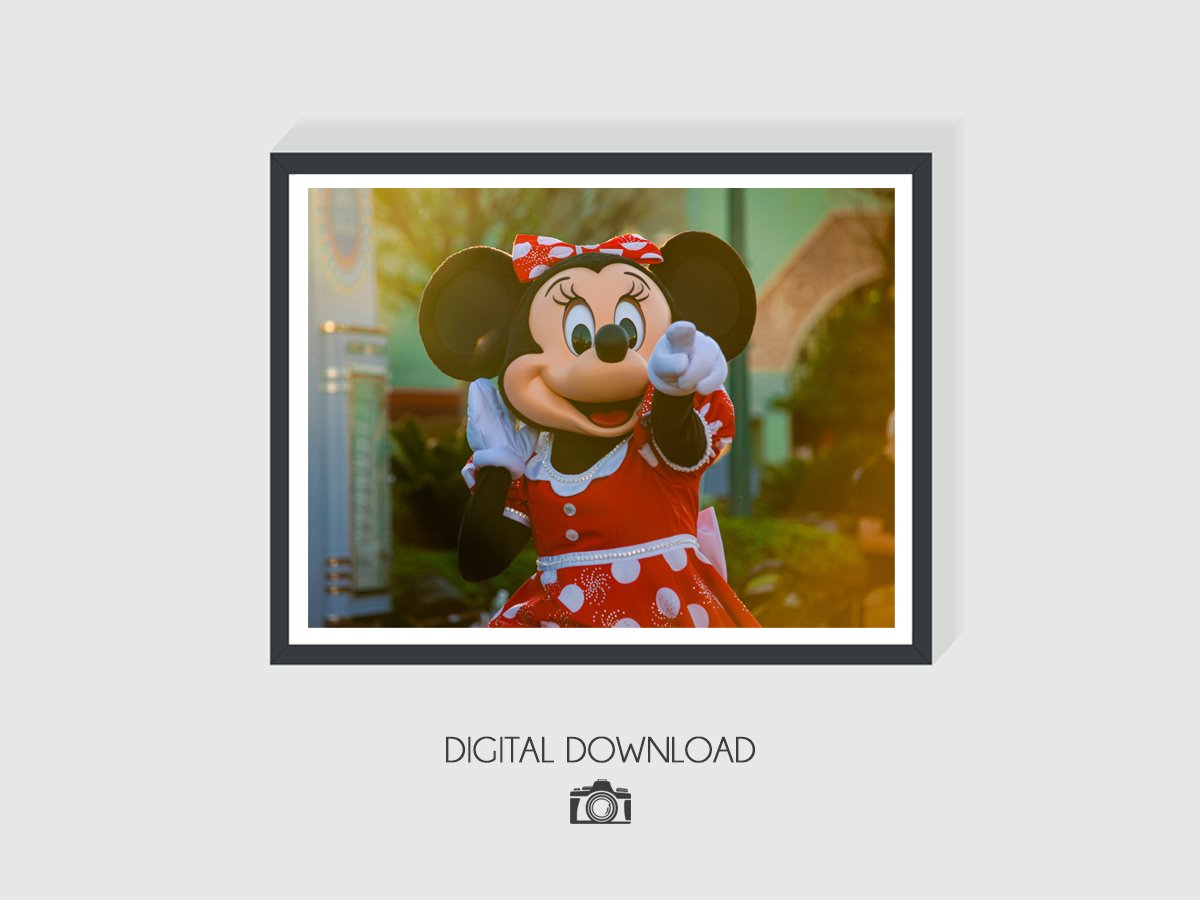 WDW - 014a.jpg
