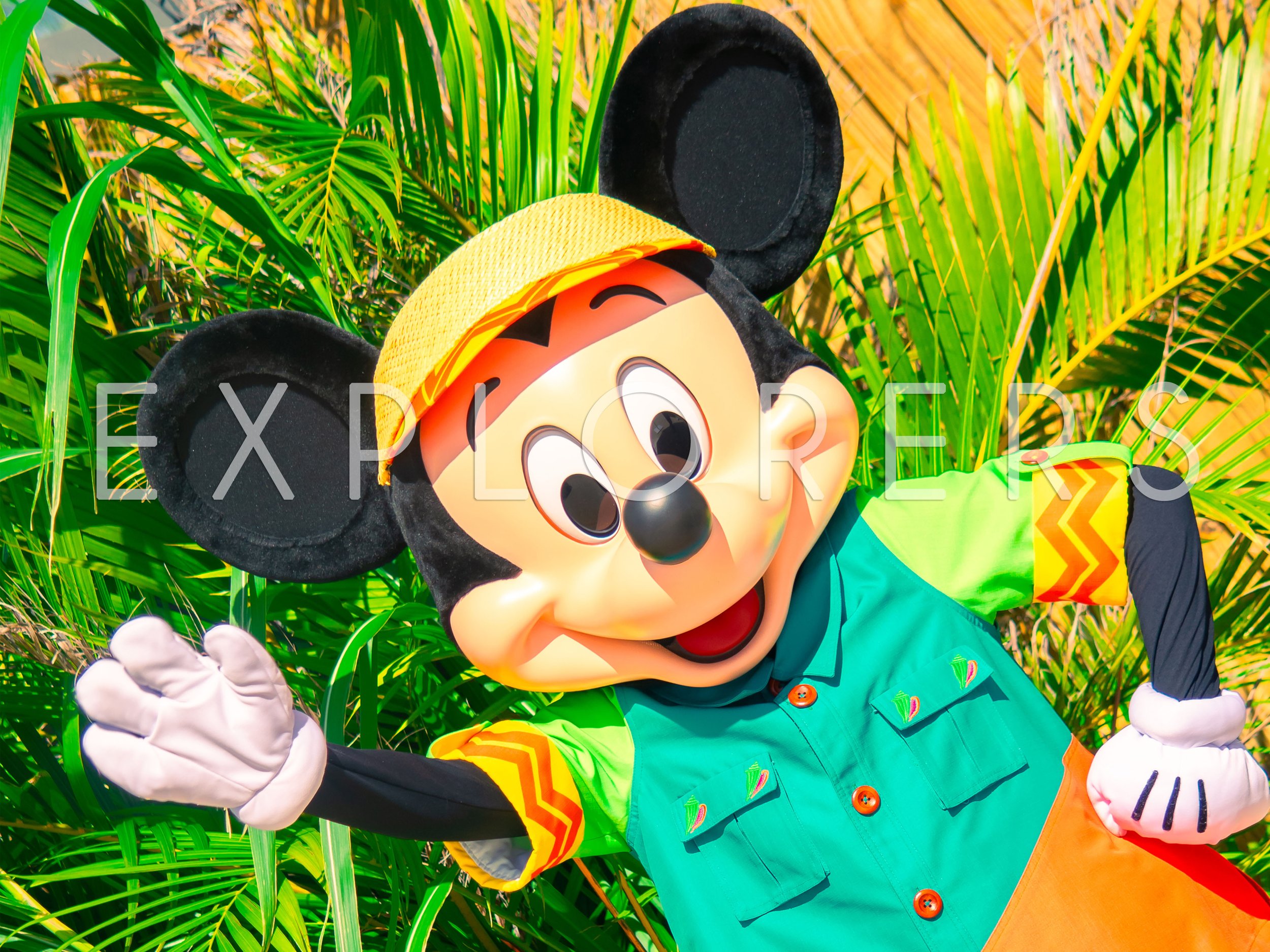 DCL - 003b.jpg