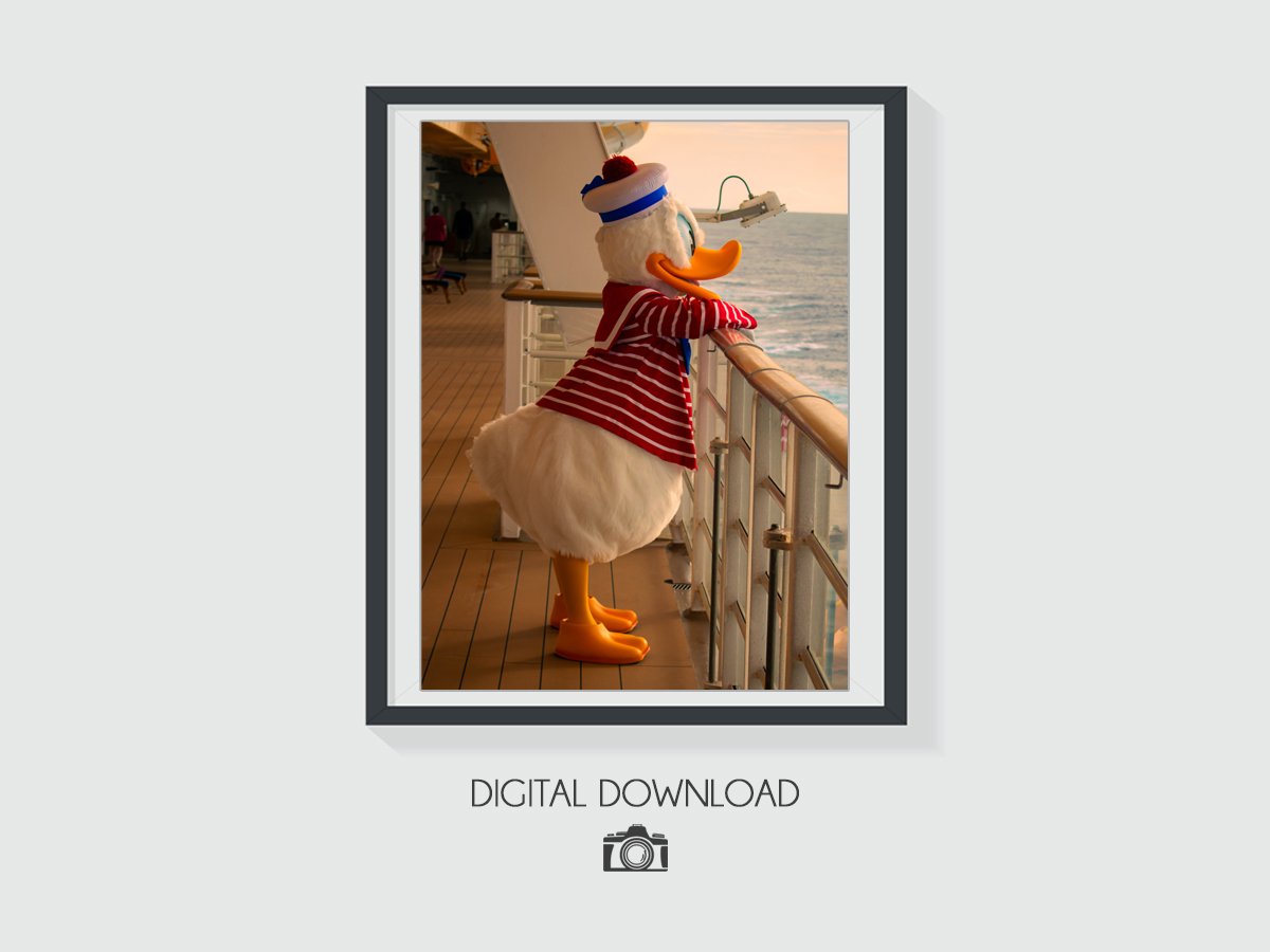 DCL - 016a.jpg