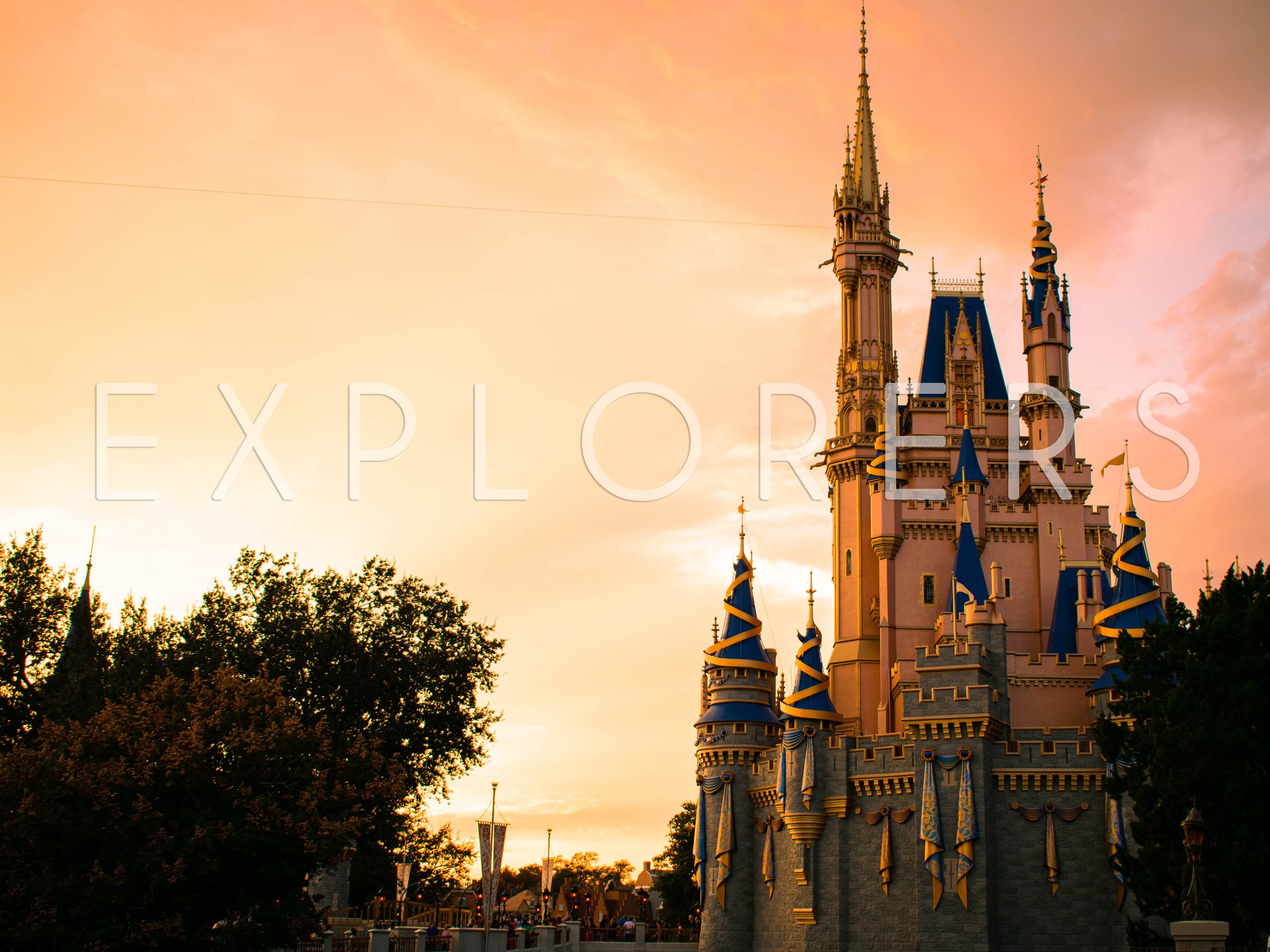 WDW - 015b.jpg