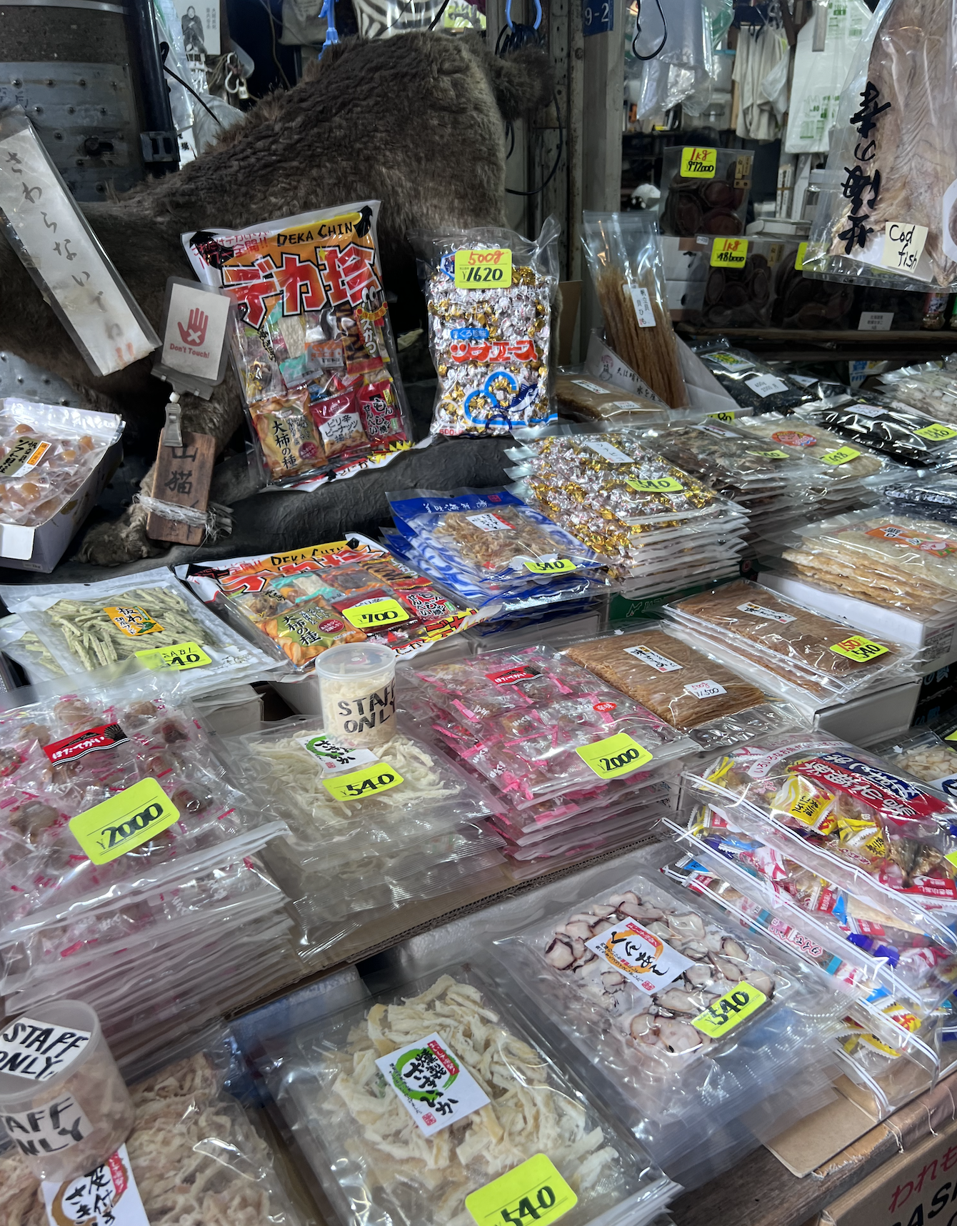 Screenshot 2026-03-04 at 5.01.41 PM.png