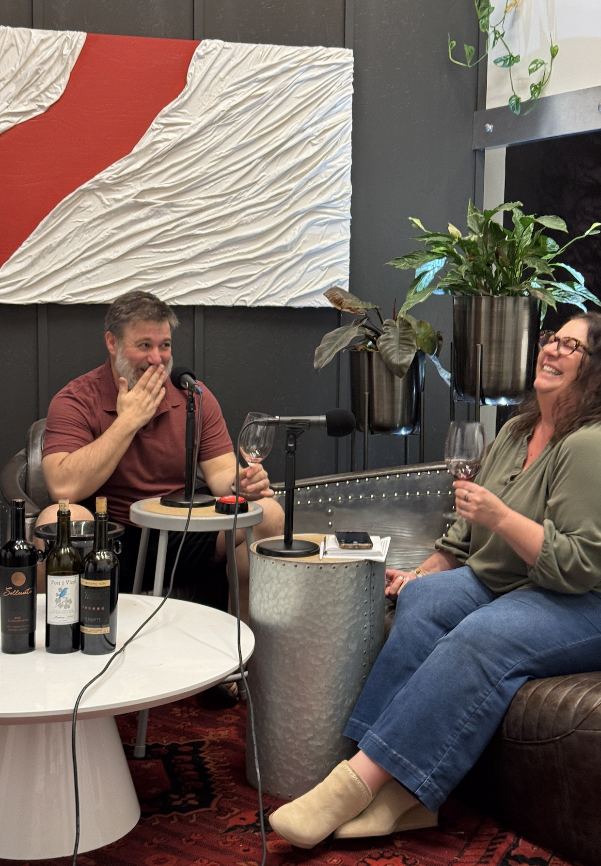 Shhh… Top Secret Wine Deals with Agent Cru of Wine Spies 