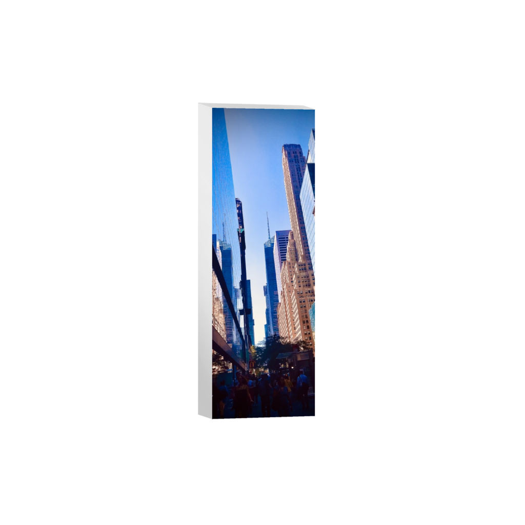 canvas_rectangle1_3_930_0_2000_6000_0.png