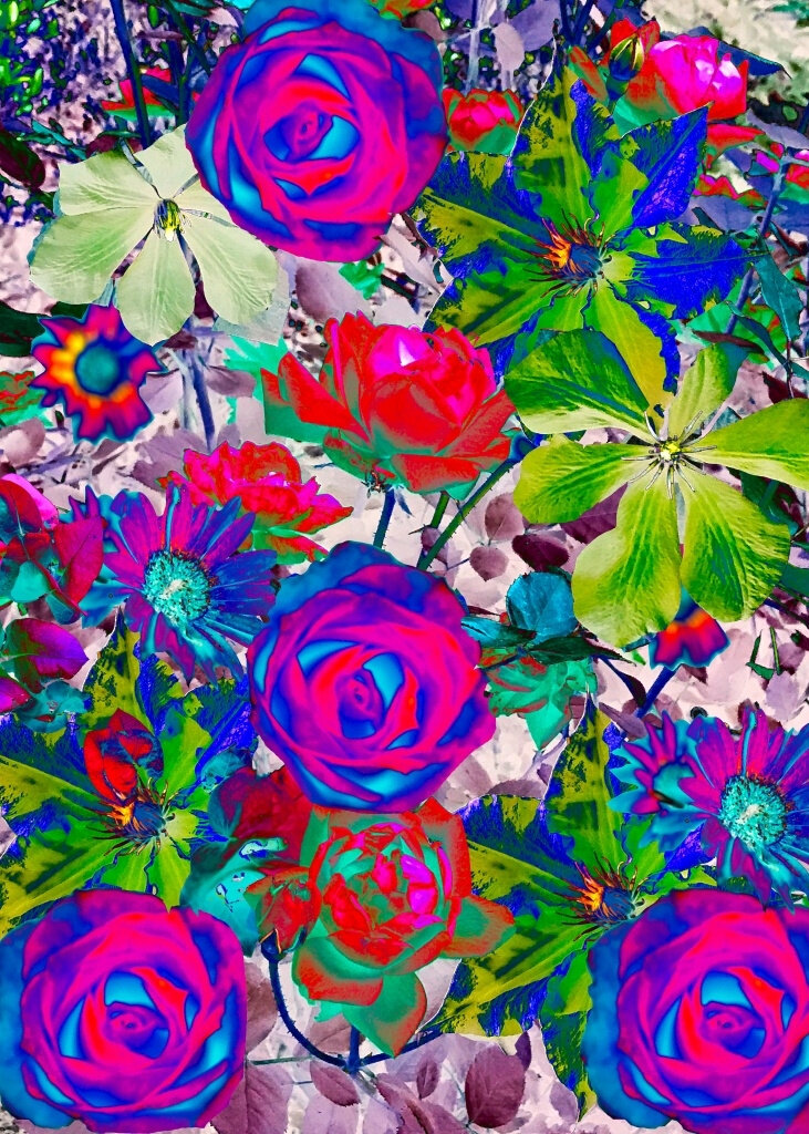 canvas_rectangle5_7_0_0_4285_6000_0.png