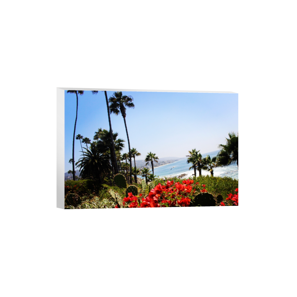canvas_rectangle2_3_0_0_6000_4000_0.png