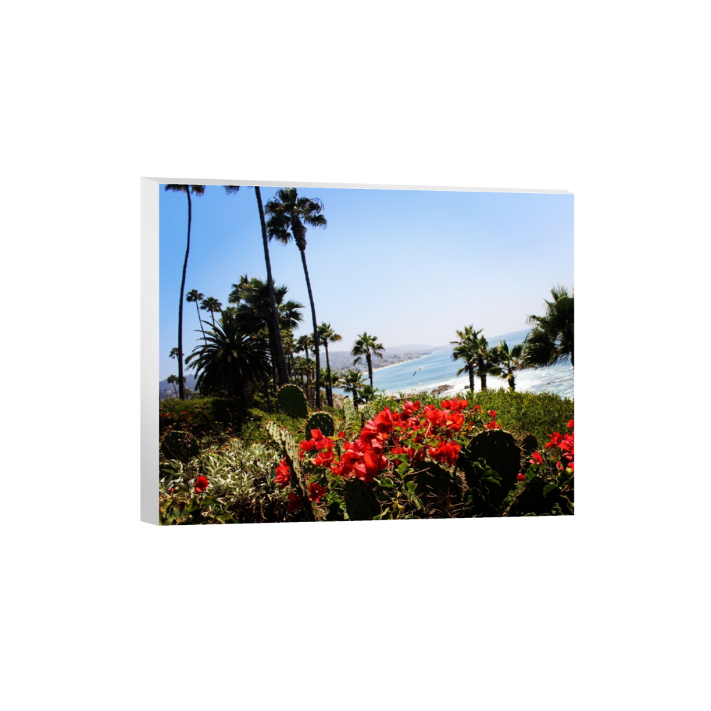 canvas_rectangle4_5_0_0_6000_4800_0.png