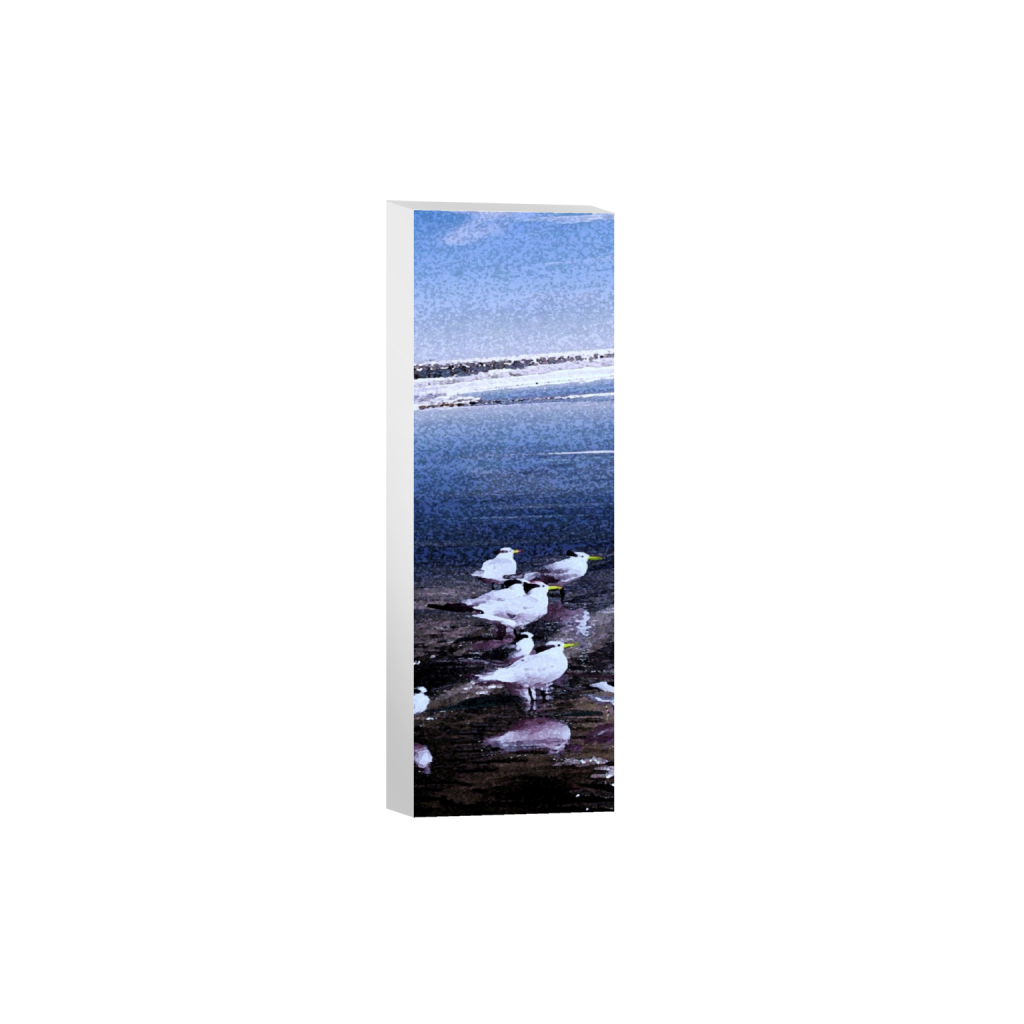 canvas_rectangle1_3_1440_0_2000_6000_0.png