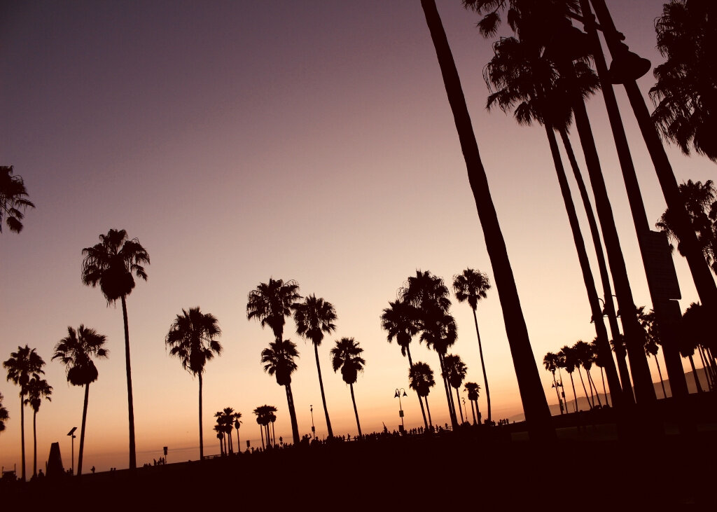 canvas_rectangle5_7_0_0_5600_4000_0.png