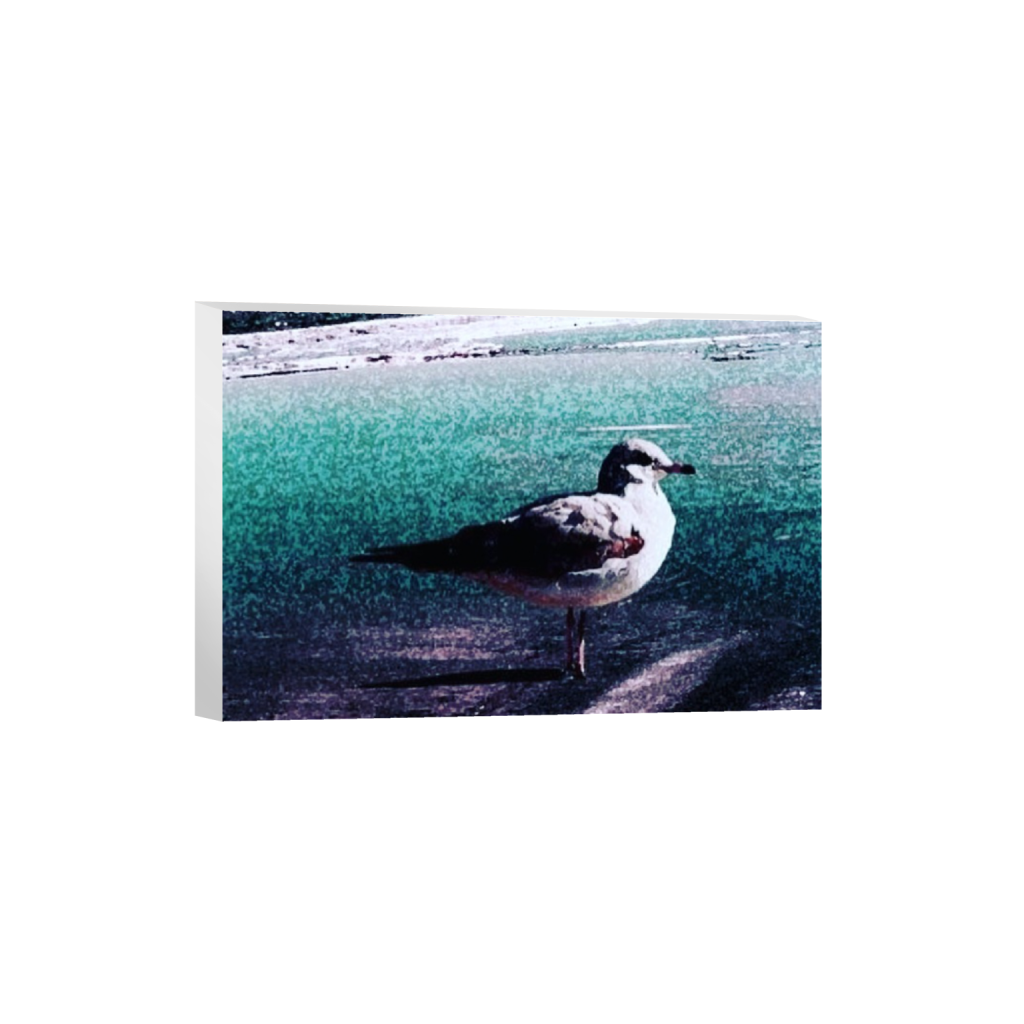 canvas_rectangle2_3_0_1000_6000_4000_0.png