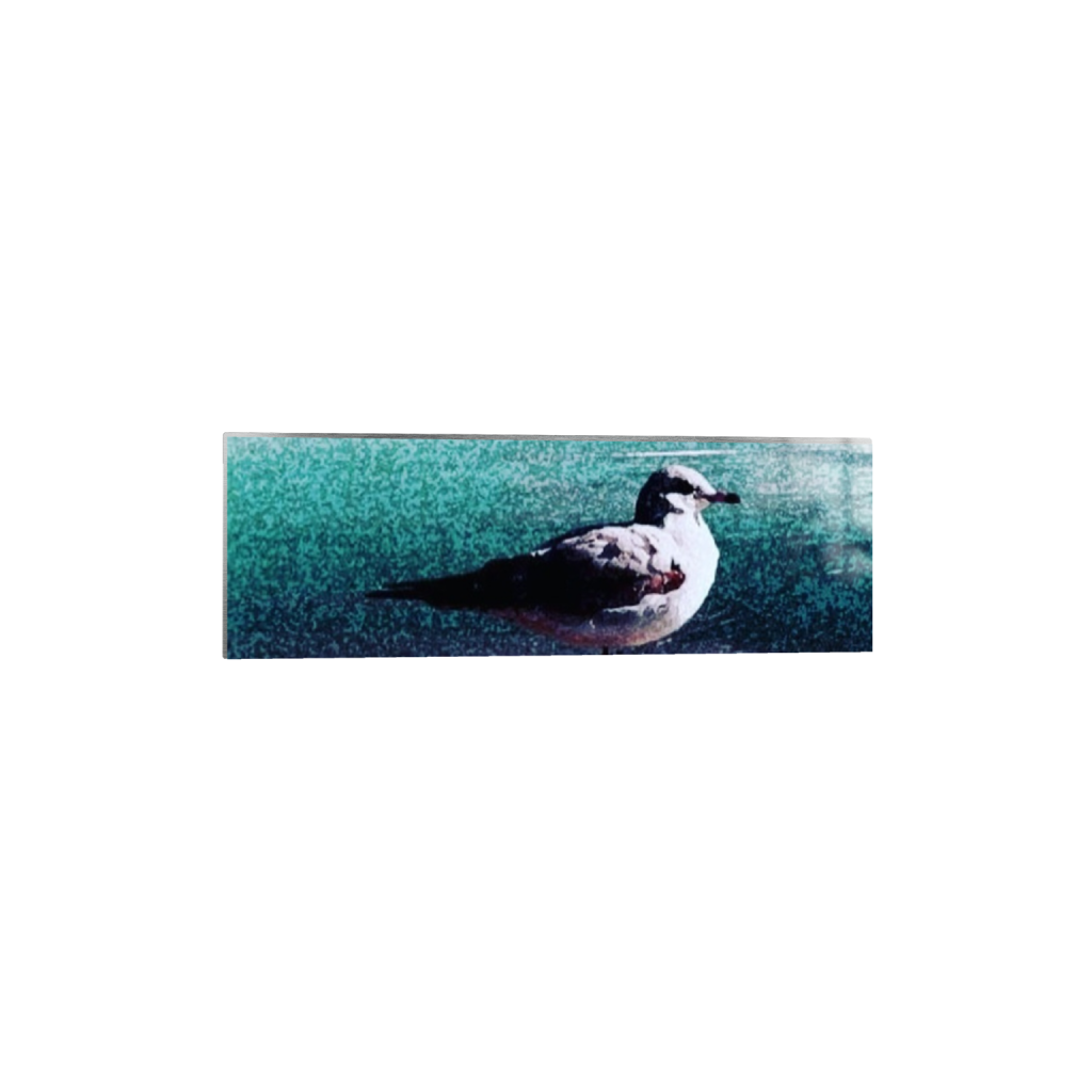 metalprint_rectangle1_3_0_2000_6000_2000_0.png