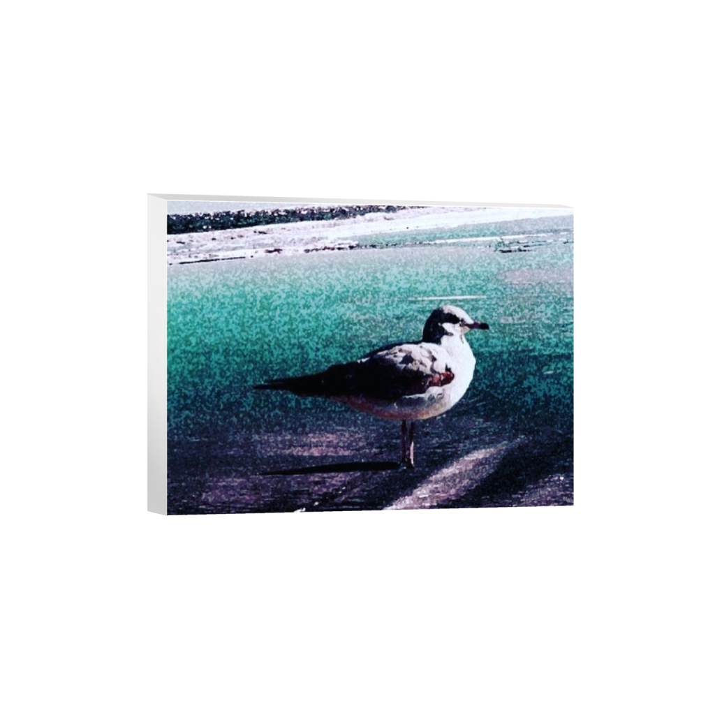 canvas_rectangle3_4_0_750_6000_4500_0.png