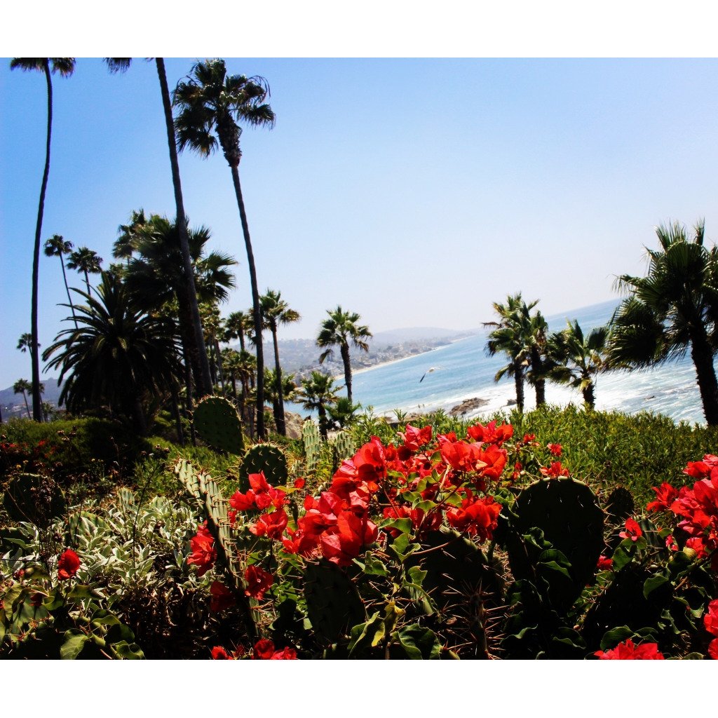Smart Buys! Laguna Beacn starting from $25.84 See more. 🤓 #acrylicpourpaintings #photography #clubclothes #abstractart #abstract #fitnessapparel #digital #digitalart #pourpaintings #art