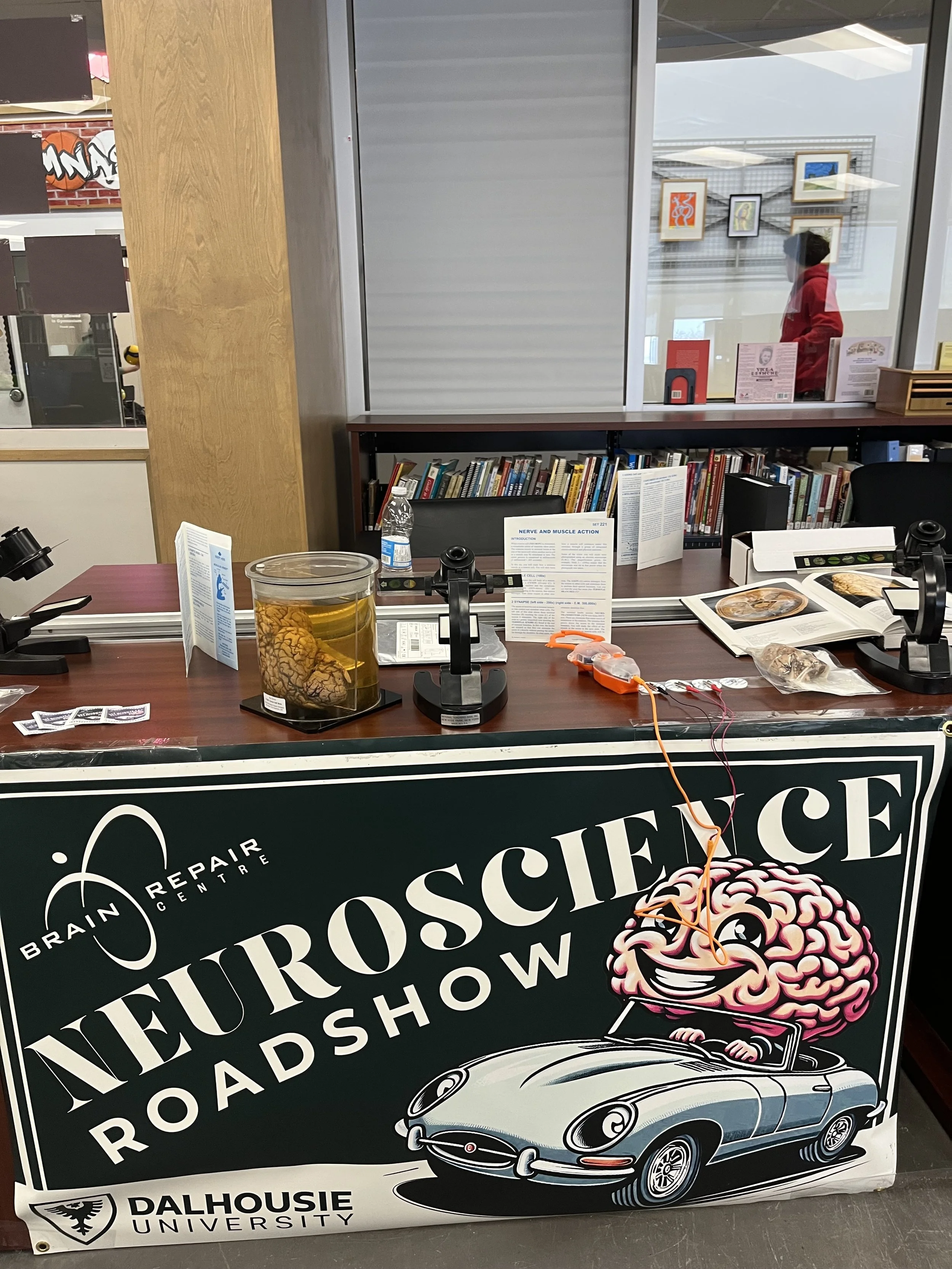 YCMH (Yarmouth) Brain Fair 
