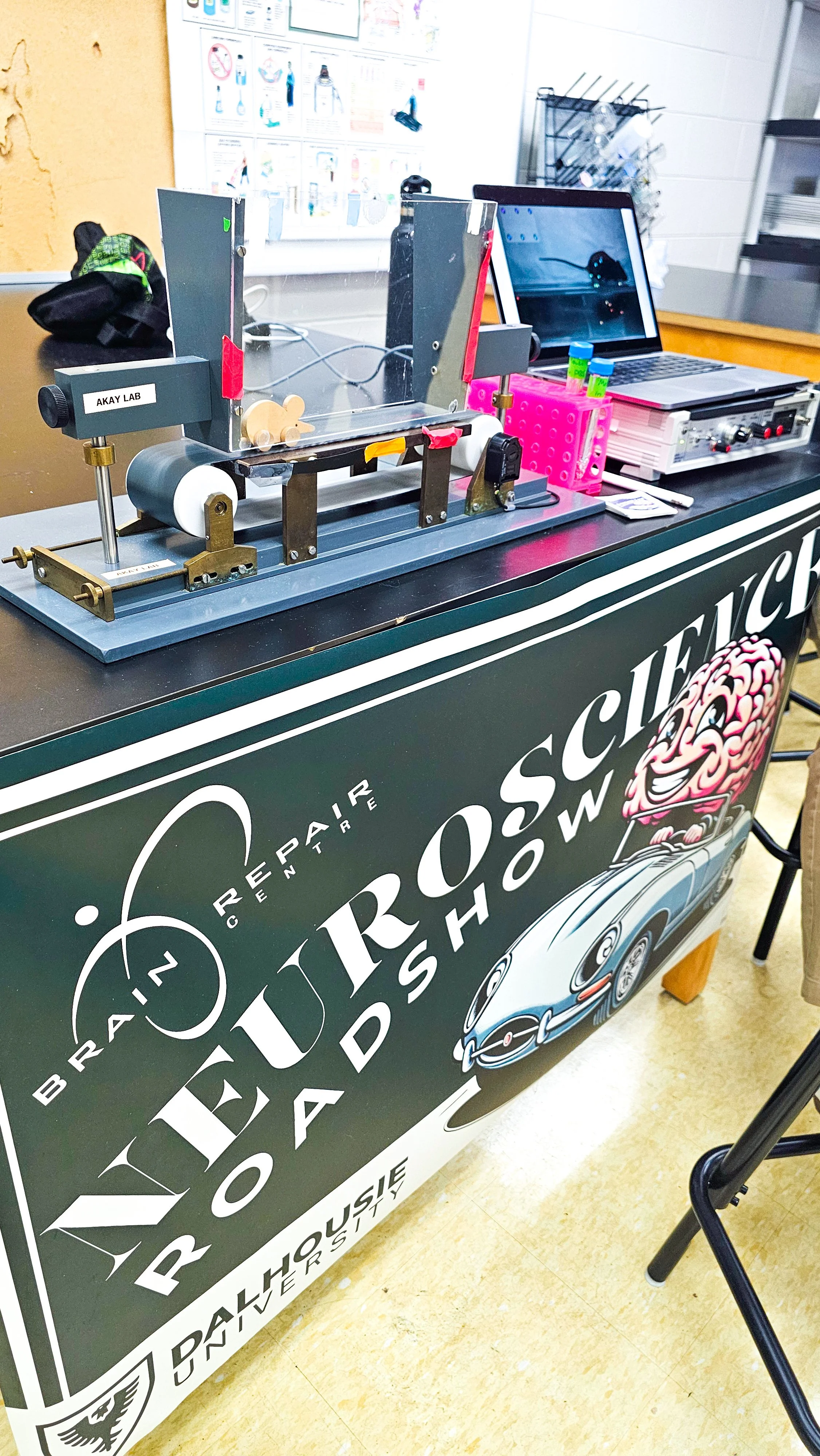 Bayview High / Treadmill 