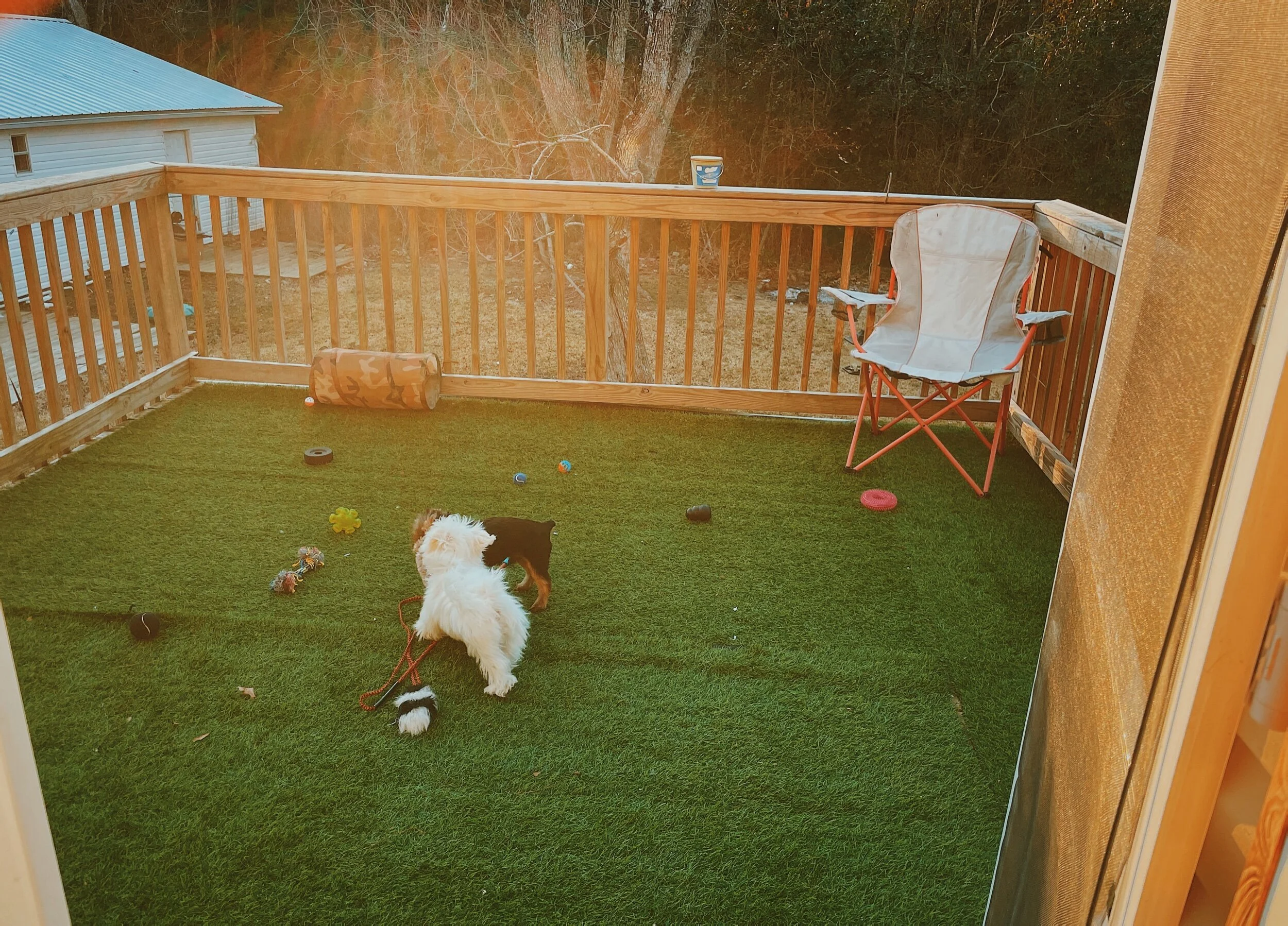 Doggy playground