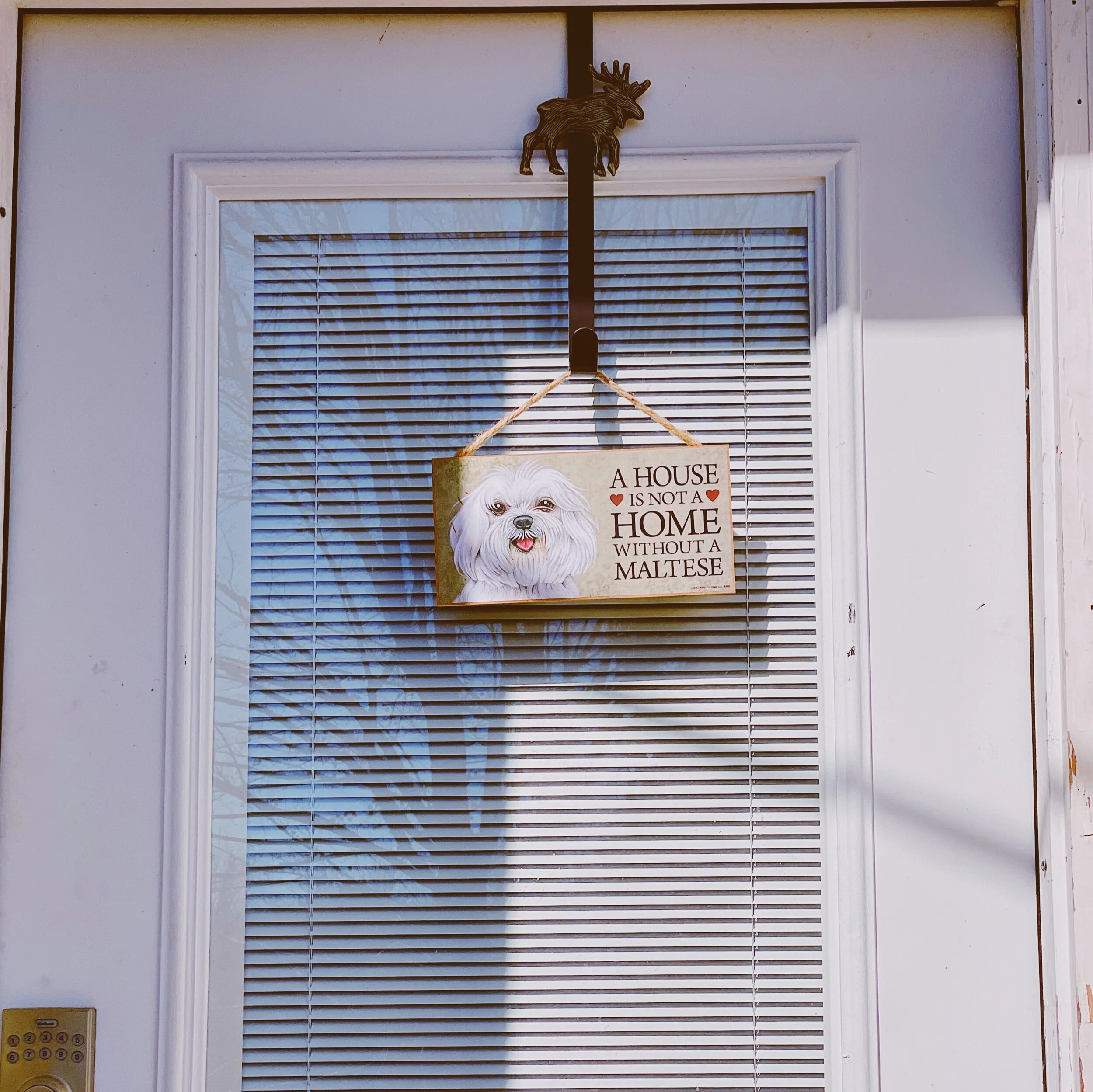 Welcome into our home