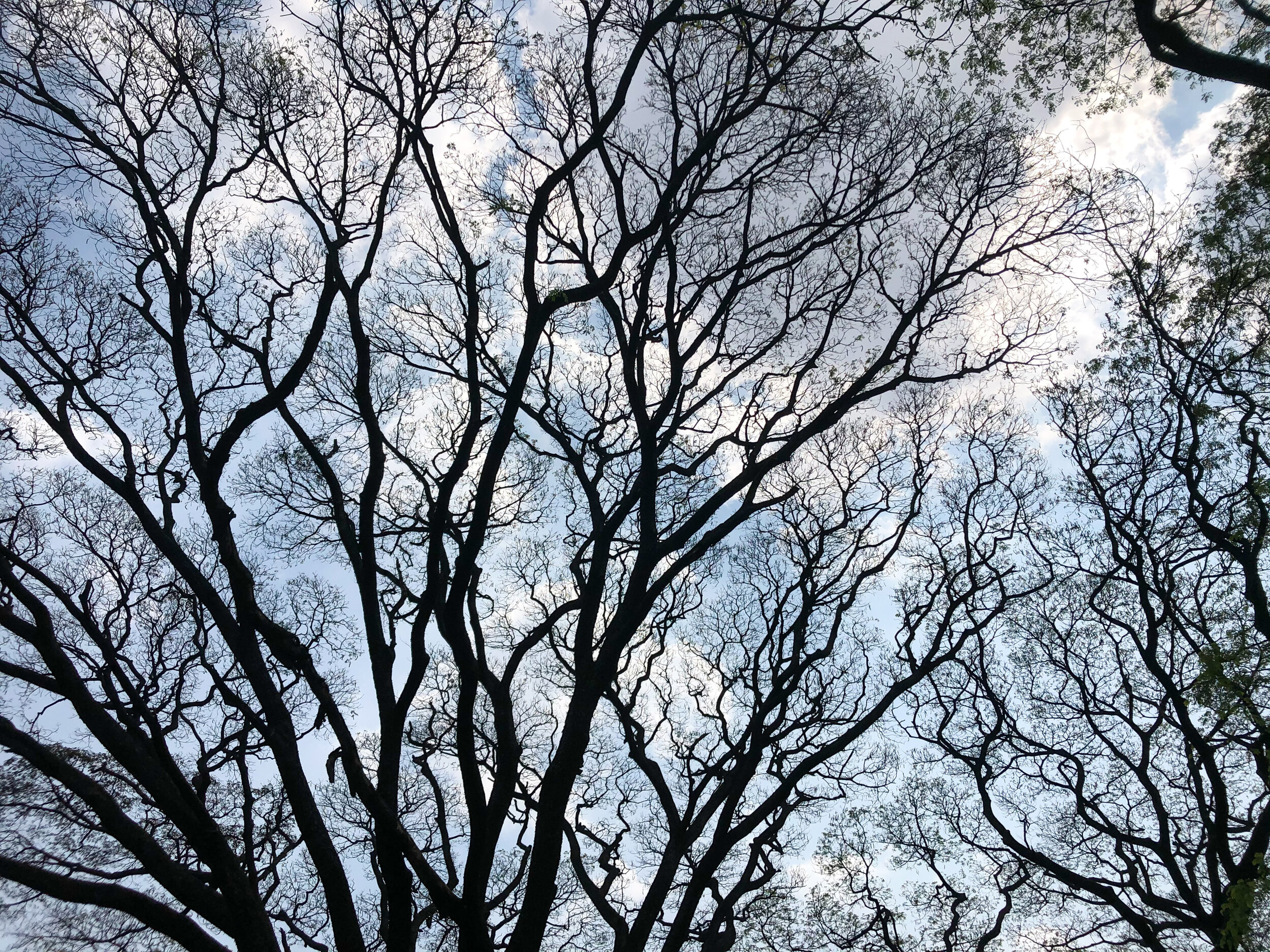 Bangalore, India