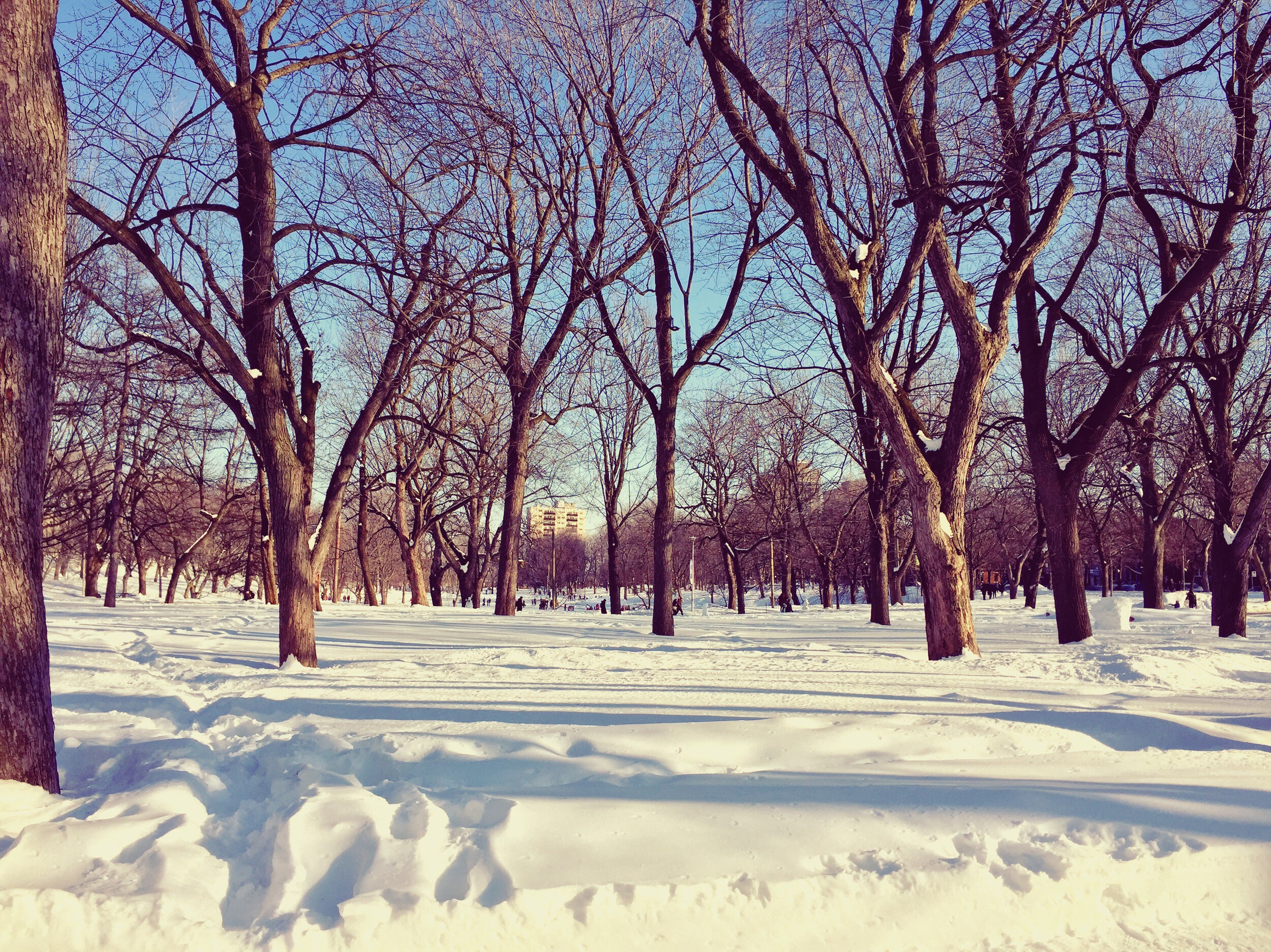 Montréal, Québec