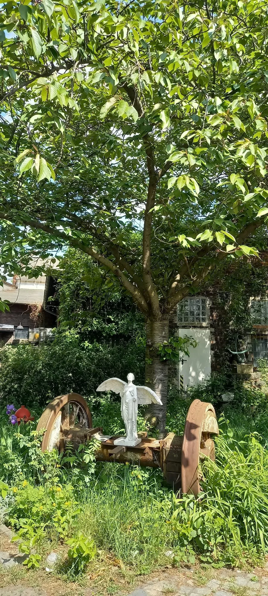 WhatsApp Image 2024-05-23 at 09.41.19.jpeg