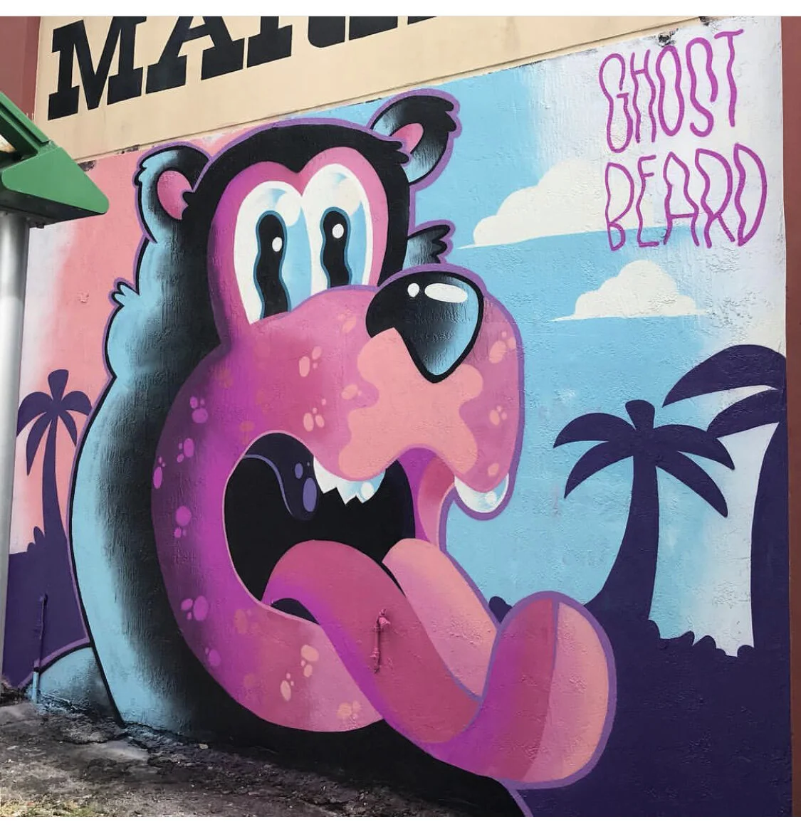 Bodega The Beach Bum Black Bear / Lil Haiti, Miami, FL 2018