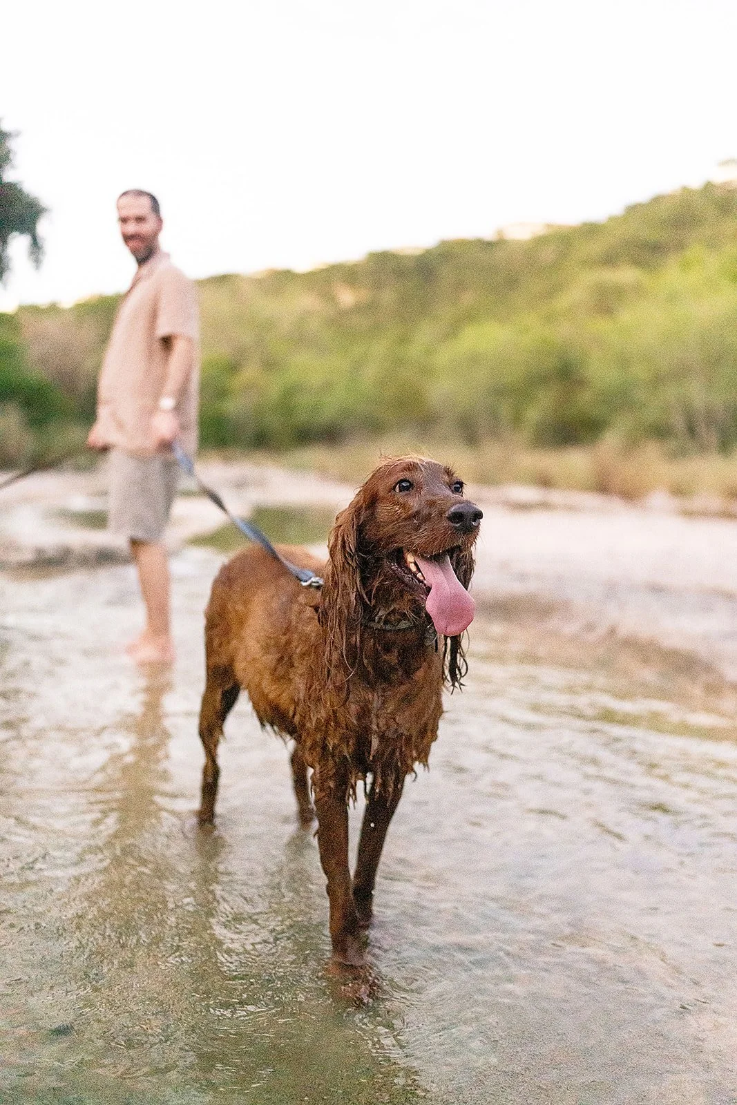 Dog at Bull Creek during family session