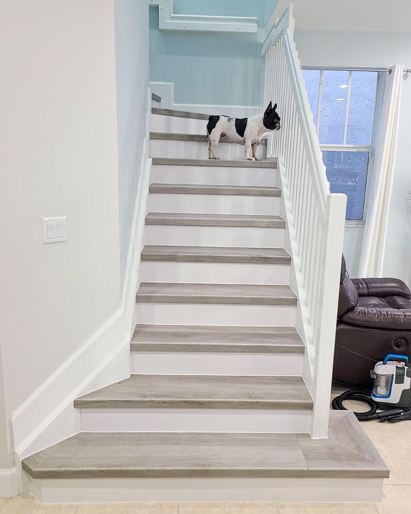 We've got stairs for those you love most 🐶 🐈 🐕⁠⁠
⁠⁠
Our vinyl stairs are pet friendly. ⁠⁠
⁠⁠
Click link in bio for more info or DM us today for a quote!⁠⁠
⁠⁠
⁠⁠
⁠⁠
⁠⁠
⁠⁠
⁠⁠
⁠⁠
#interior #interiordesign #home #homedecor #decor #instahome #petfriend