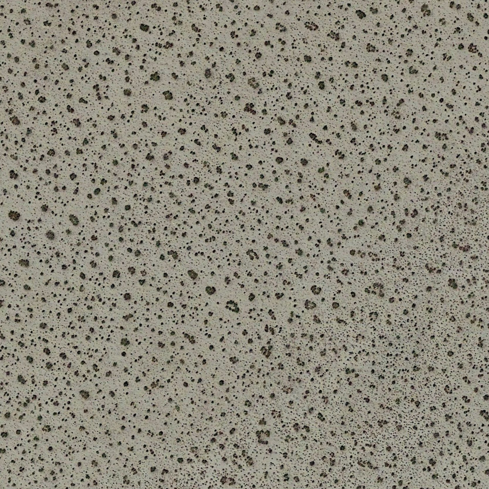episode 008: Edelweiss and the Creosote Bush