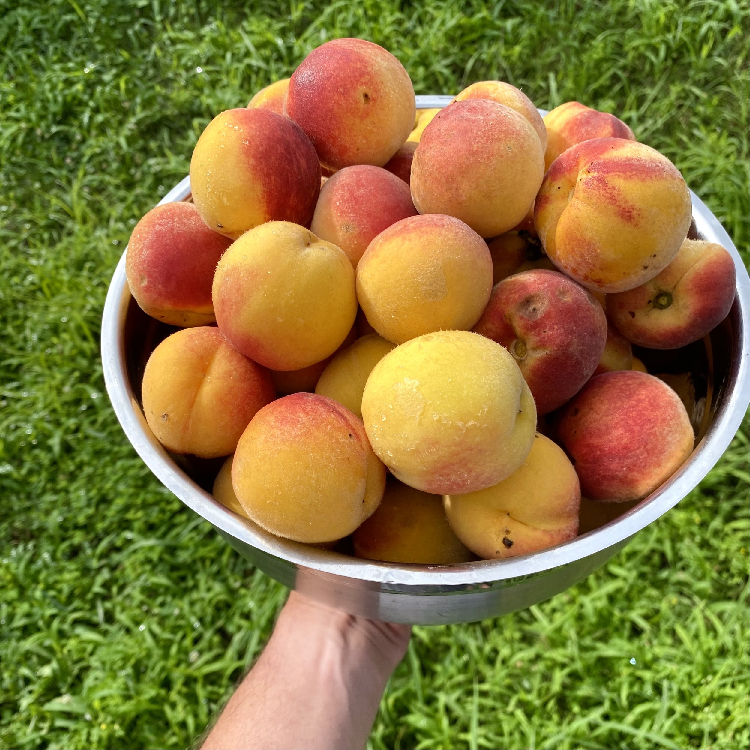 episode 021: Peaches!