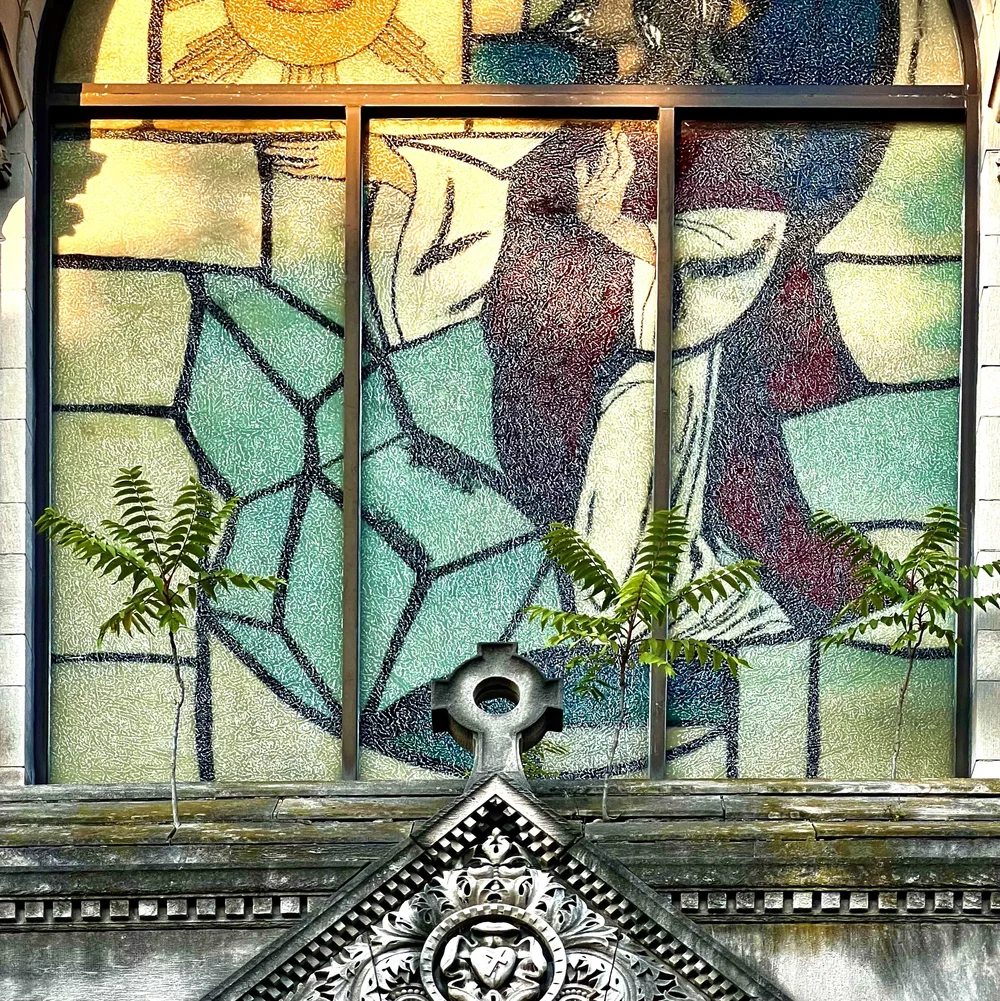 Episode 082 Staghorn Sumac and Tree of Heaven — rootbound