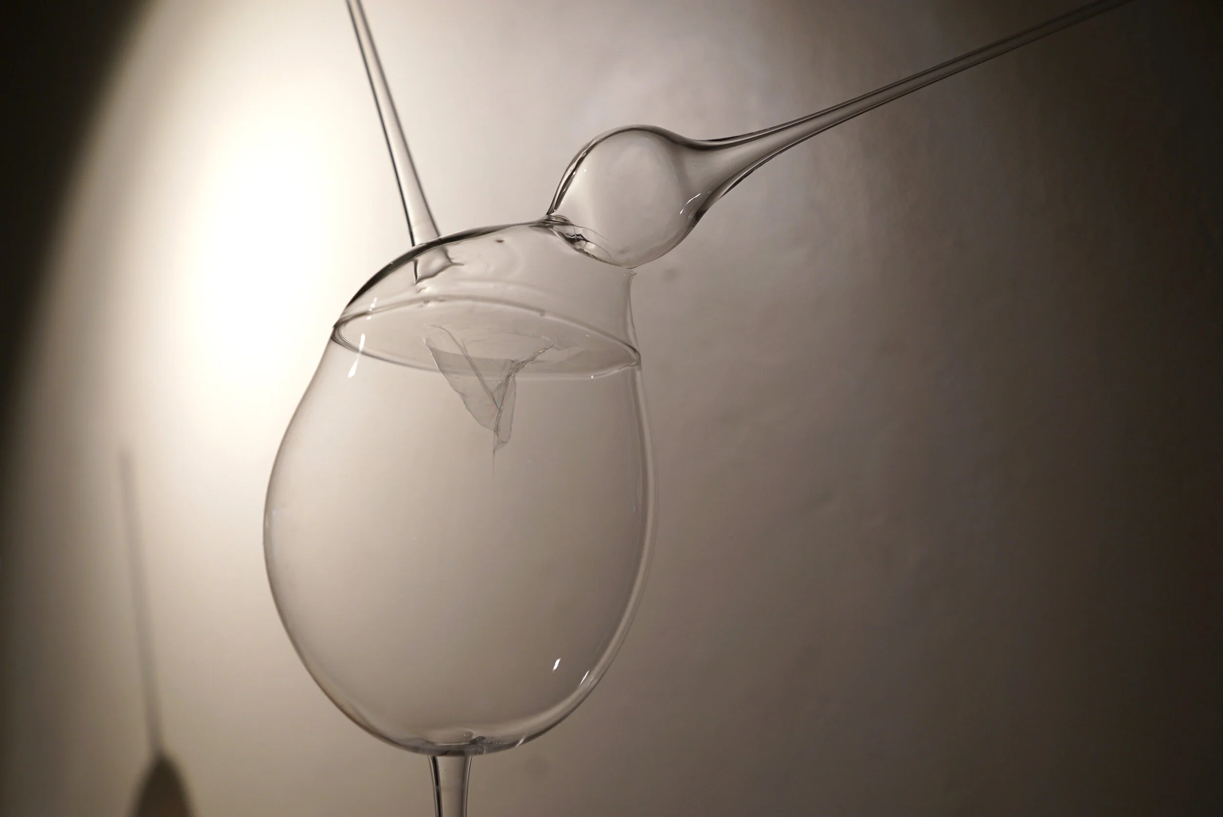 clear bubble membrain.JPG