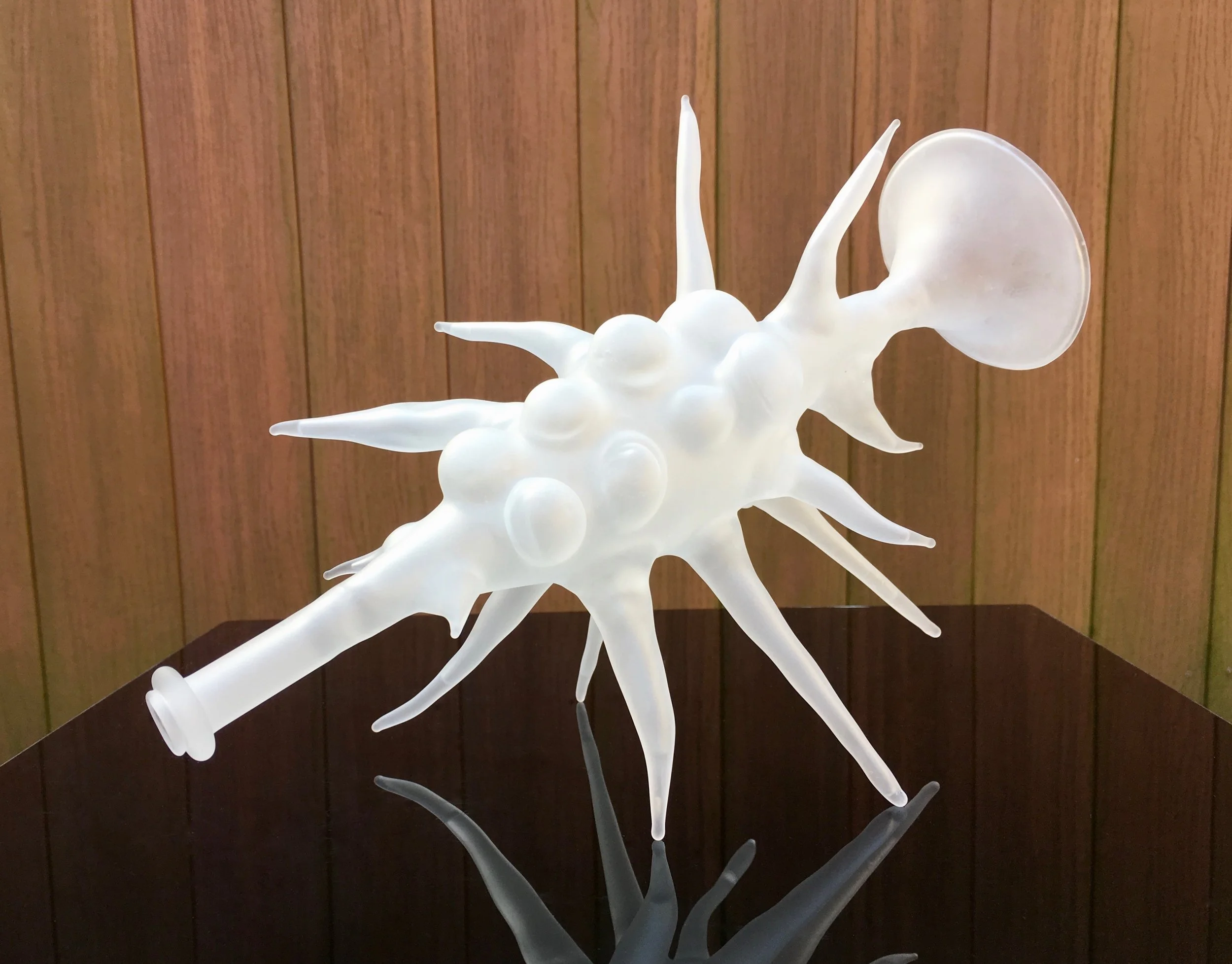 Arthropod Conch_Madeline Rile Smith.jpg