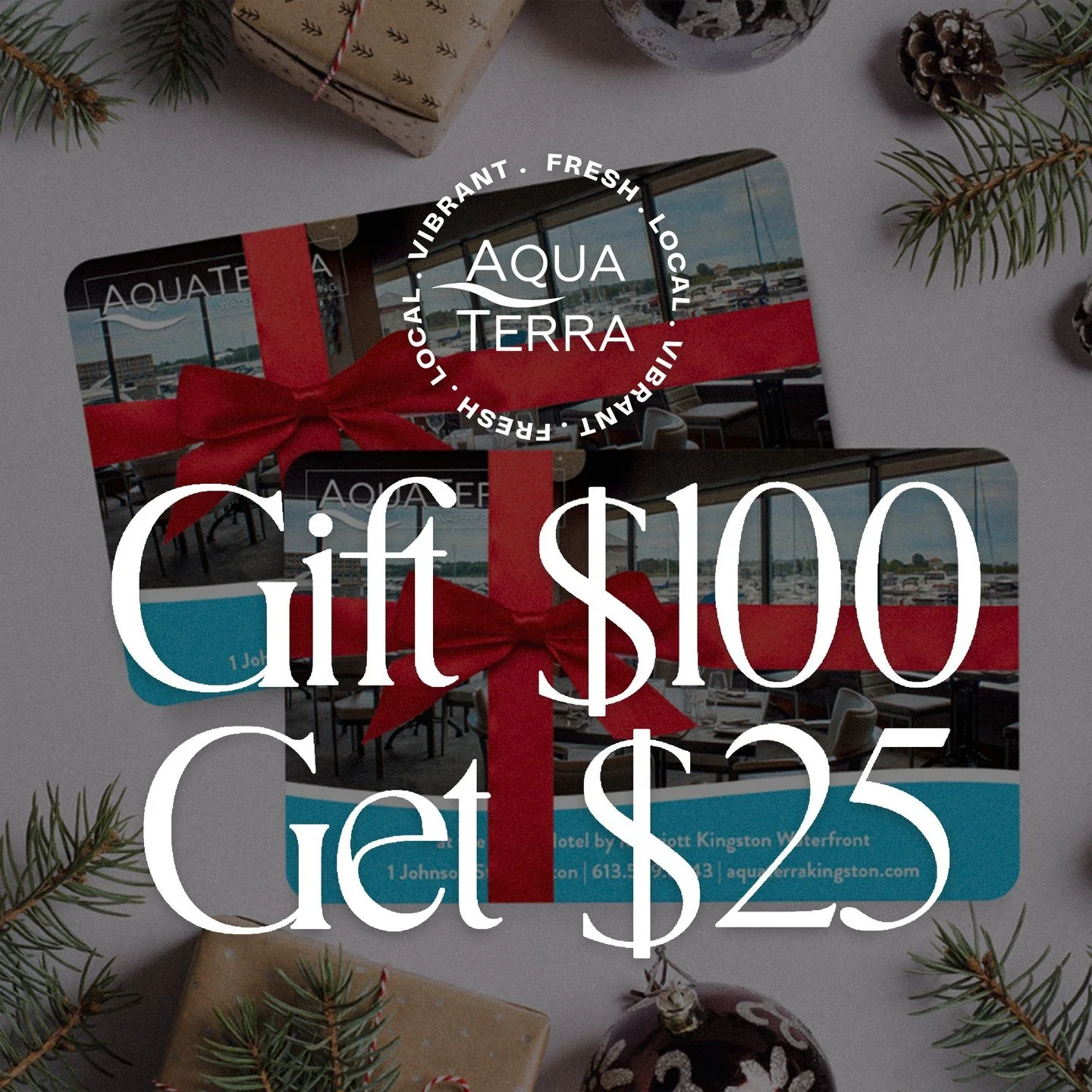 GIFT $100, GET $25

Whether they&rsquo;re a long-time fan or a first-timer, our gift cards are the golden ticket to in-house dining delights or to-go goodies. Be a gift hero this season and share the AquaTerra experience with someone special!

For a 
