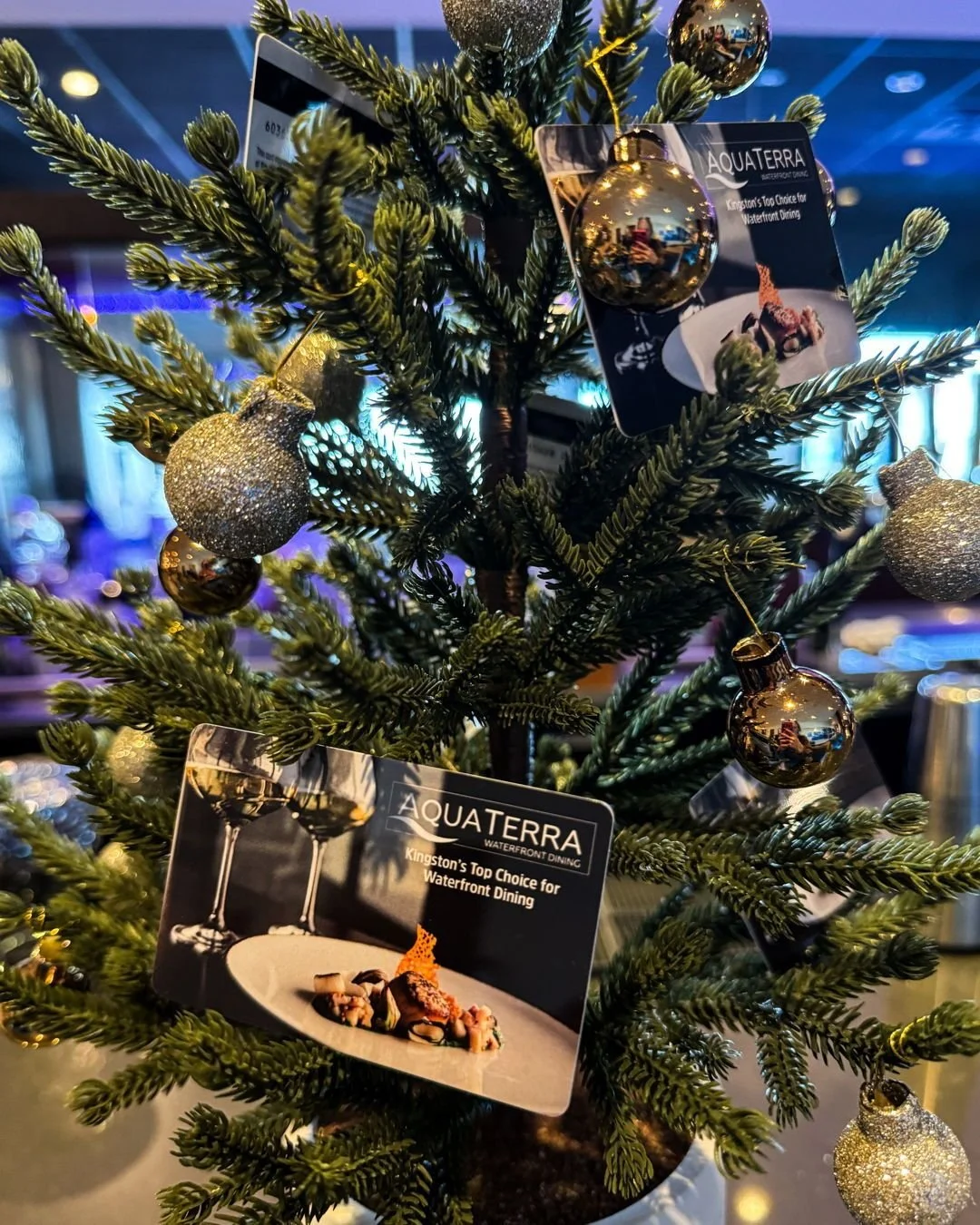 GIFT $100, GET $25

For the food lovers, the cocktail chasers, the &ldquo;let&rsquo;s book dinner&rdquo; friends, our gift cards go a long way. Spend $100 and we&rsquo;ll add a $25 bonus for your own night out. 

Offer ends December 31, 2025
💳Purcha