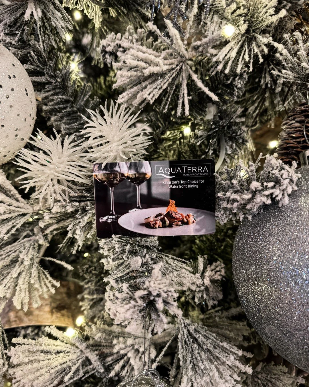 FREE $25 BONUS VOUCHER

Gift a night out and get a little extra. Spend $100 on AquaTerra gift cards, and we&rsquo;ll add a free $25 bonus voucher.

Offer ends December 31, 2025
💳 Purchase at our [ link in bio ] or in person at the restaurant.