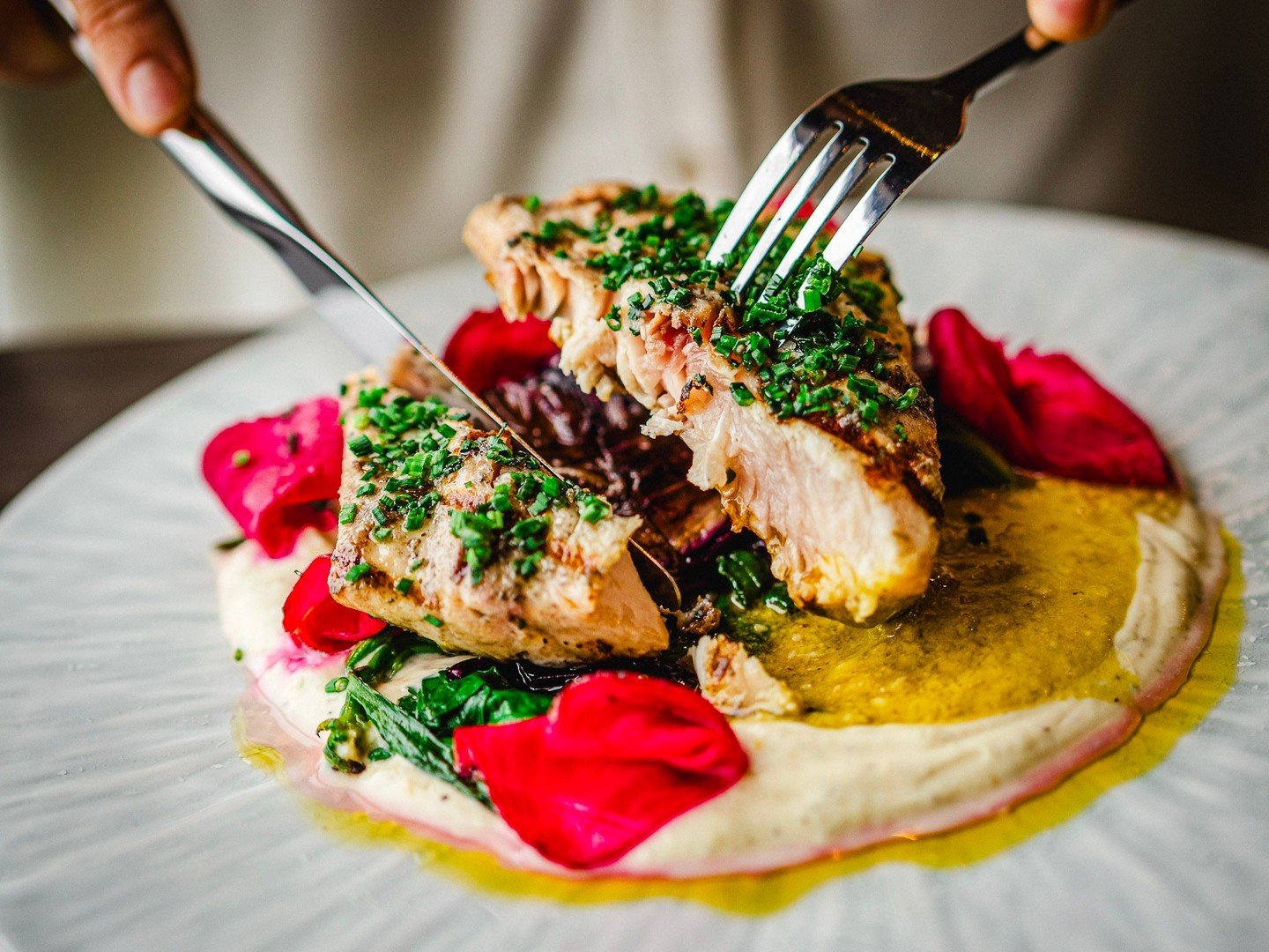 Last call before the menu flips🍽️

GRILLED MAHI MAHI
hazelnut tahini, local citrus yogurt, charred bitter greens, sweet pickled beets.
The main in our #Kingstonlicious prix fixe.

$60 per person.
Available until the end of the month