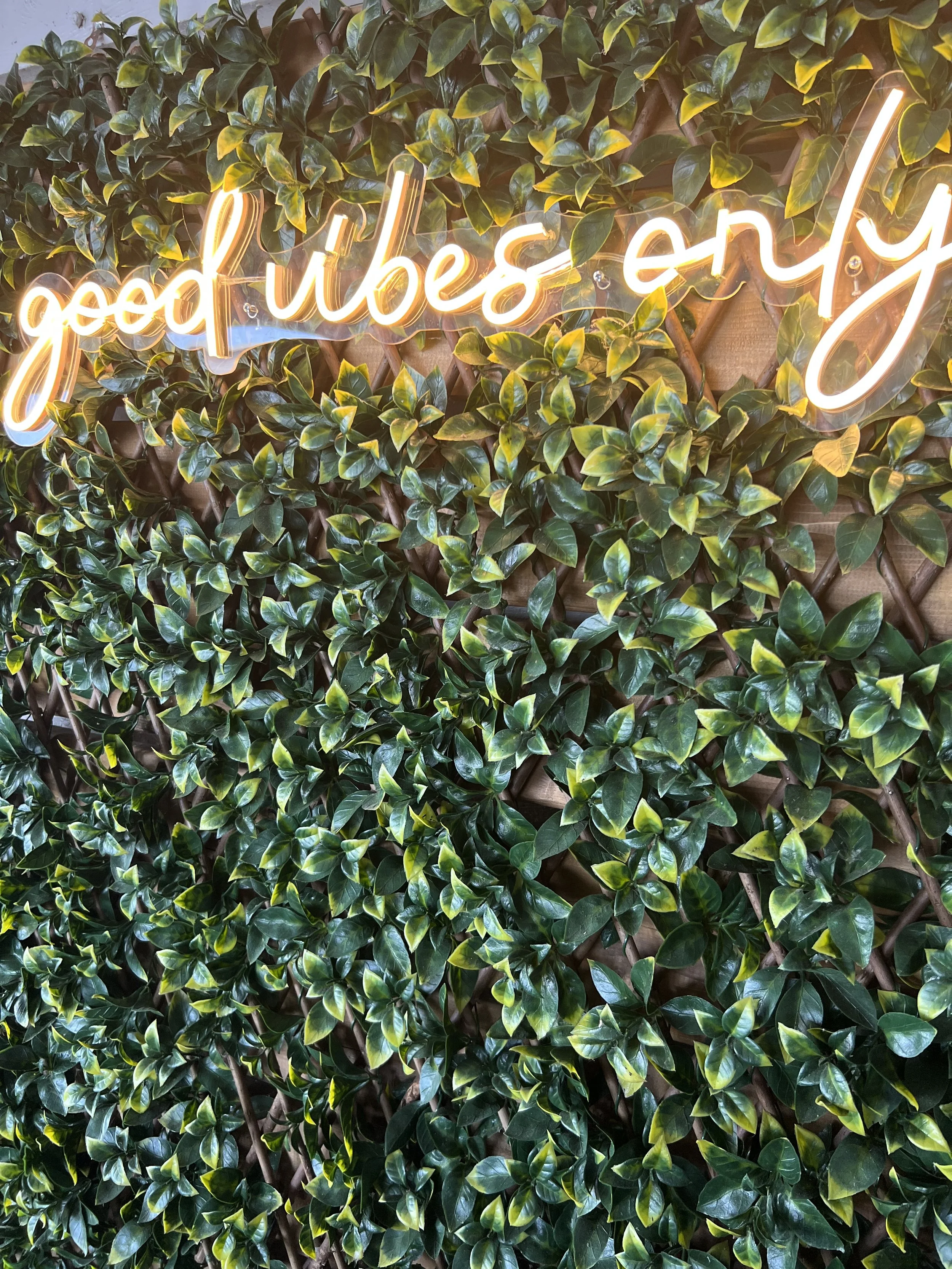 Neon sign with the words 'good vibes only' in cursive, mounted on a wall covered with dense green ivy leaves.